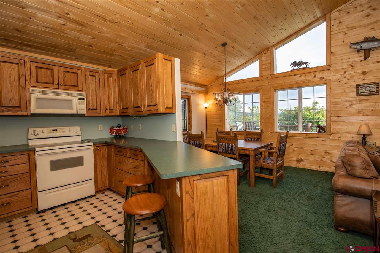 2000 County Road 359, Pagosa Springs, CO 81147 Listing Photo  26