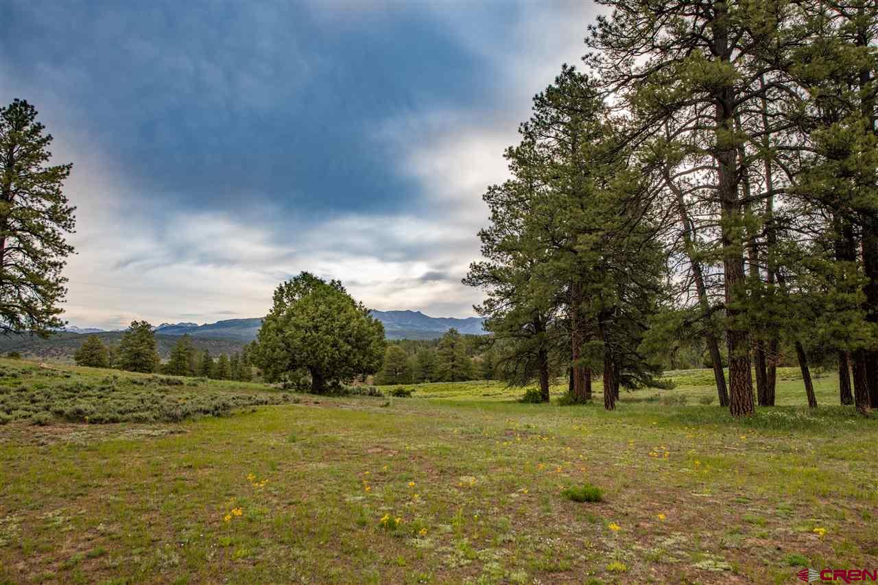 2000 County Road 359, Pagosa Springs, CO 81147 Listing Photo  10