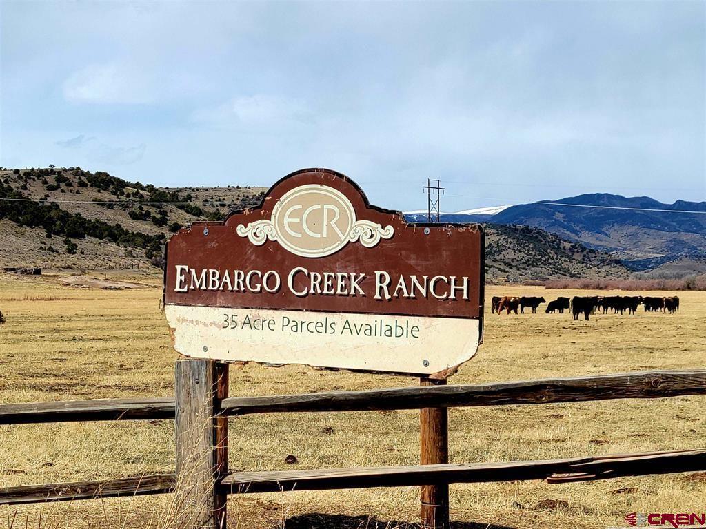 348 Embargo Creek Trail, Del Norte, CO 81132 Listing Photo  1