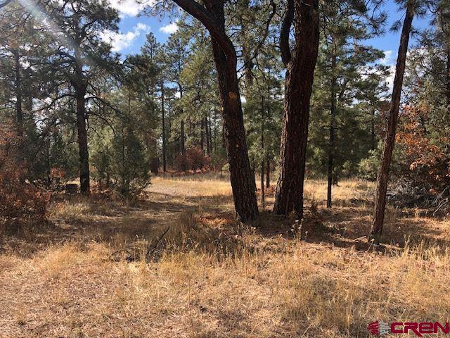 1923,1983,2019 Crooked Road, Pagosa Springs, CO 81147 Listing Photo  1