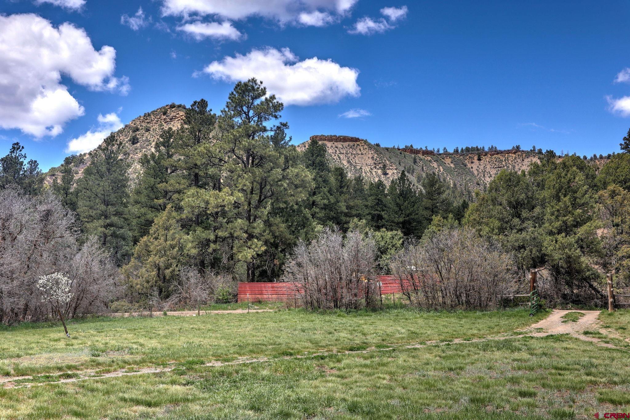 960 County Rd 335, Pagosa Springs, CO 81147 Listing Photo  32