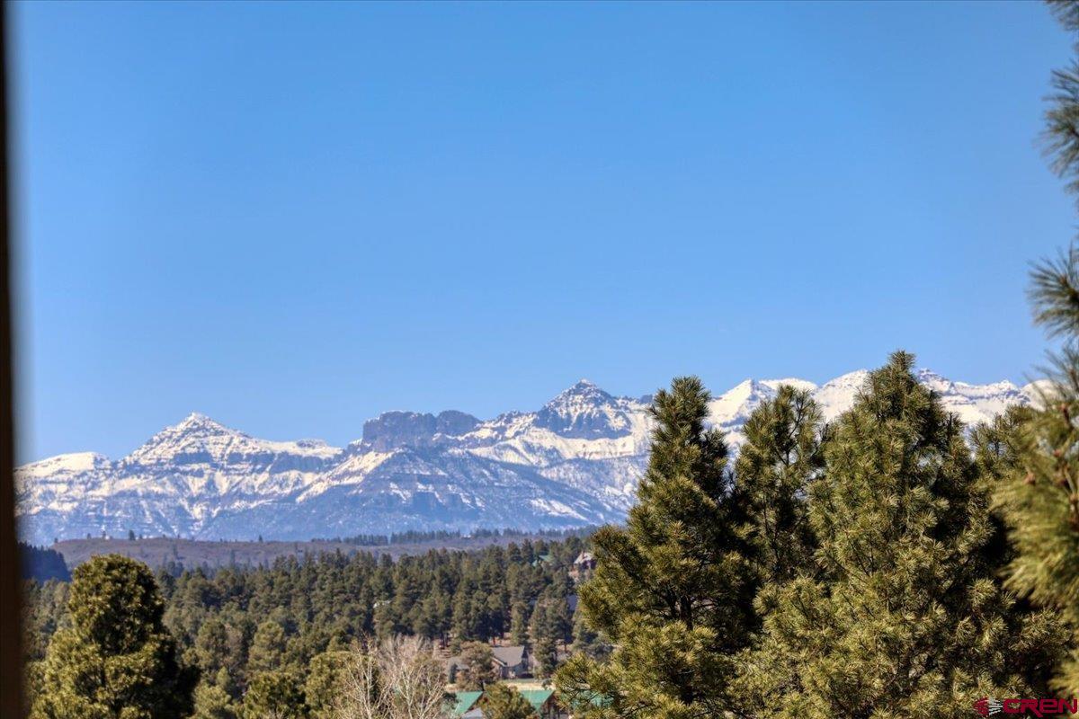 21 Steamboat Drive, Pagosa Springs, CO 81147 Listing Photo  3