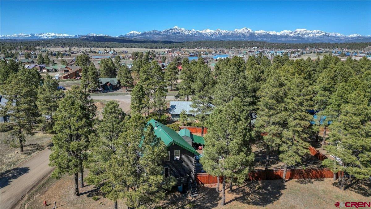 21 Steamboat Drive, Pagosa Springs, CO 81147 Listing Photo  4