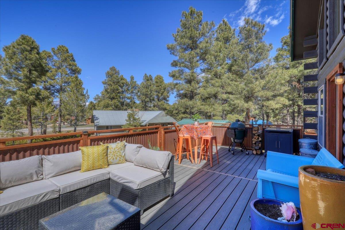 21 Steamboat Drive, Pagosa Springs, CO 81147 Listing Photo  31