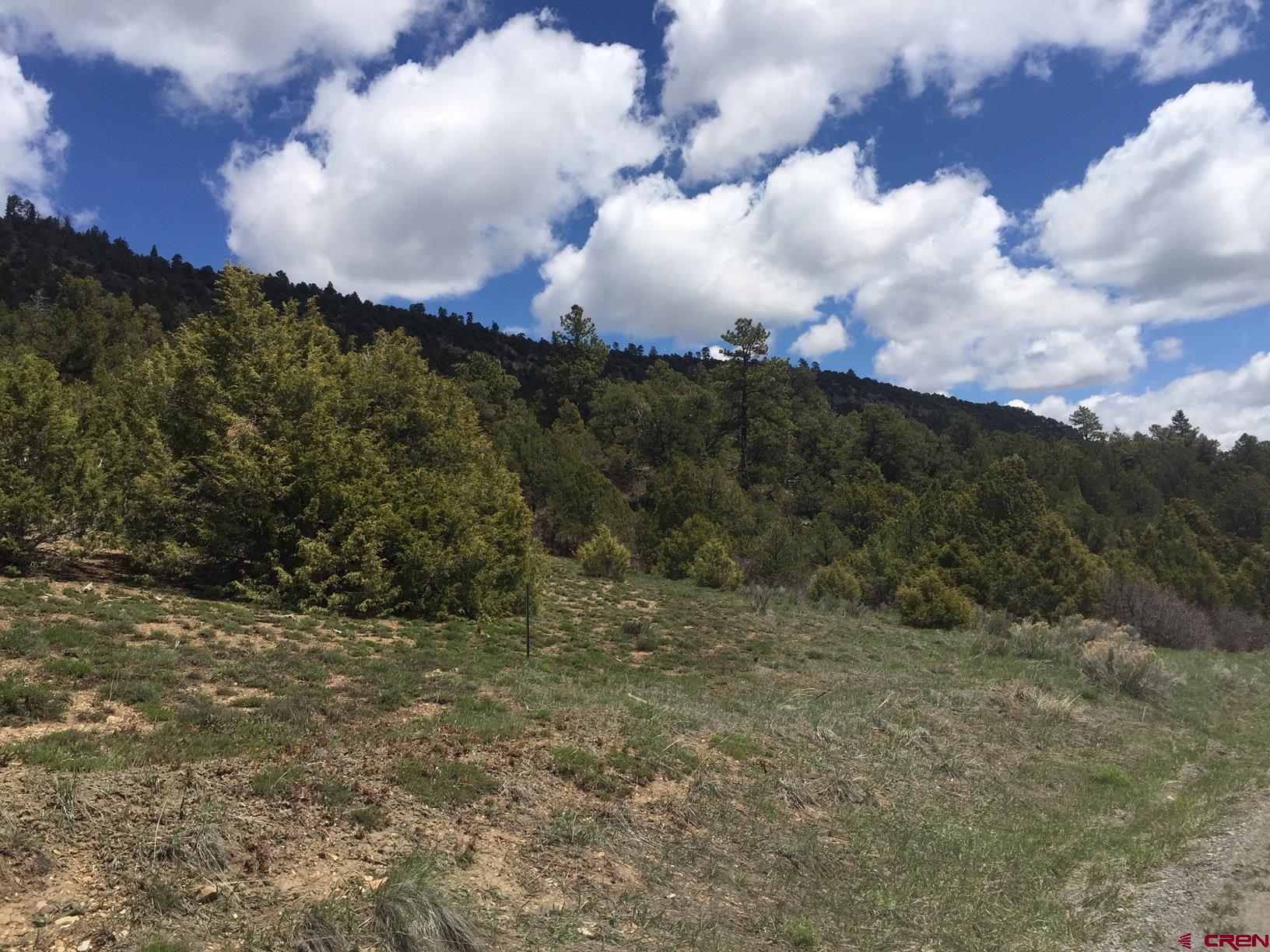 TBD Lot 7 Old Relay Road, Ridgway, CO 81432 Listing Photo  13