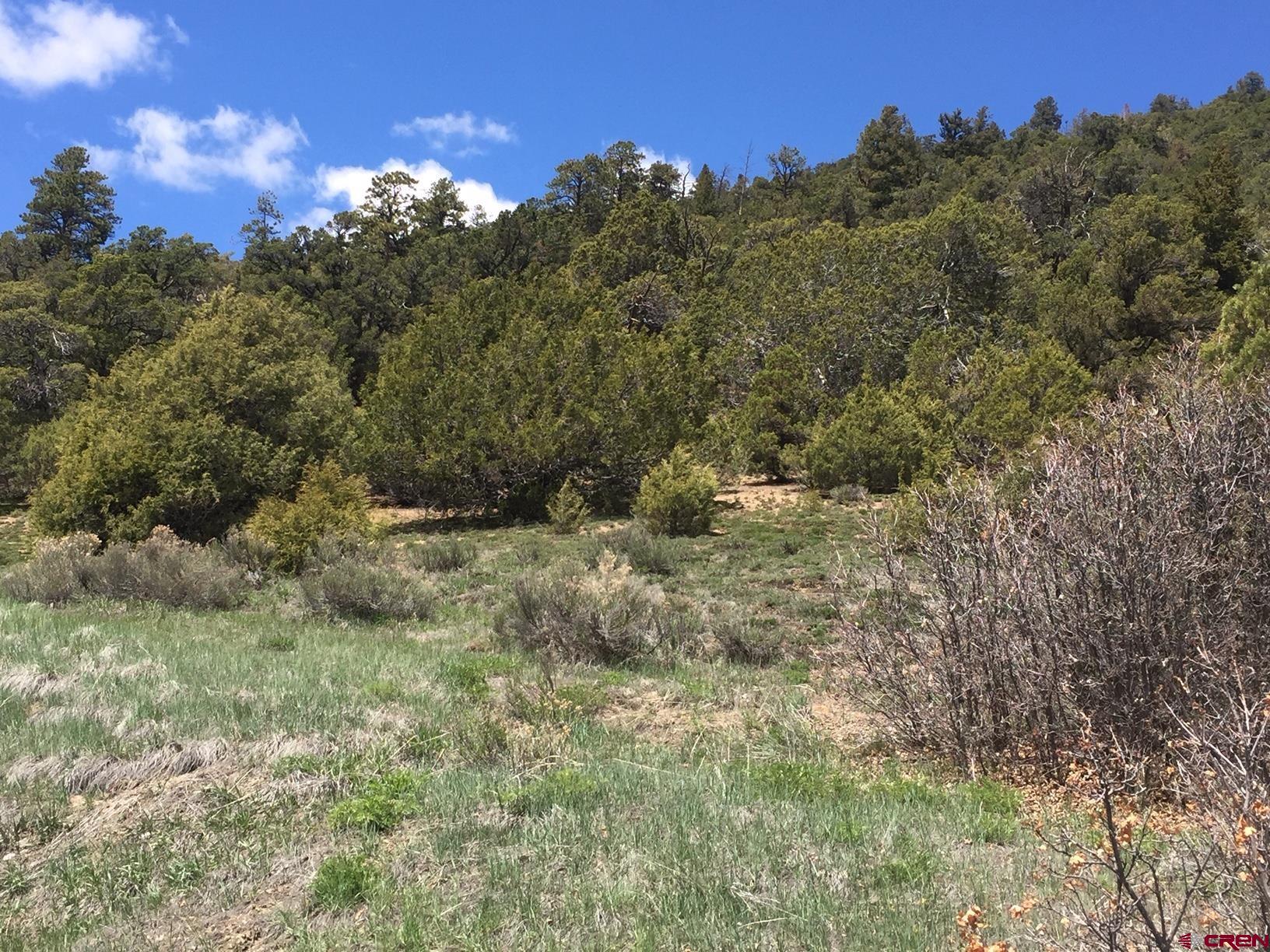 TBD Lot 7 Old Relay Road, Ridgway, CO 81432 Listing Photo  15