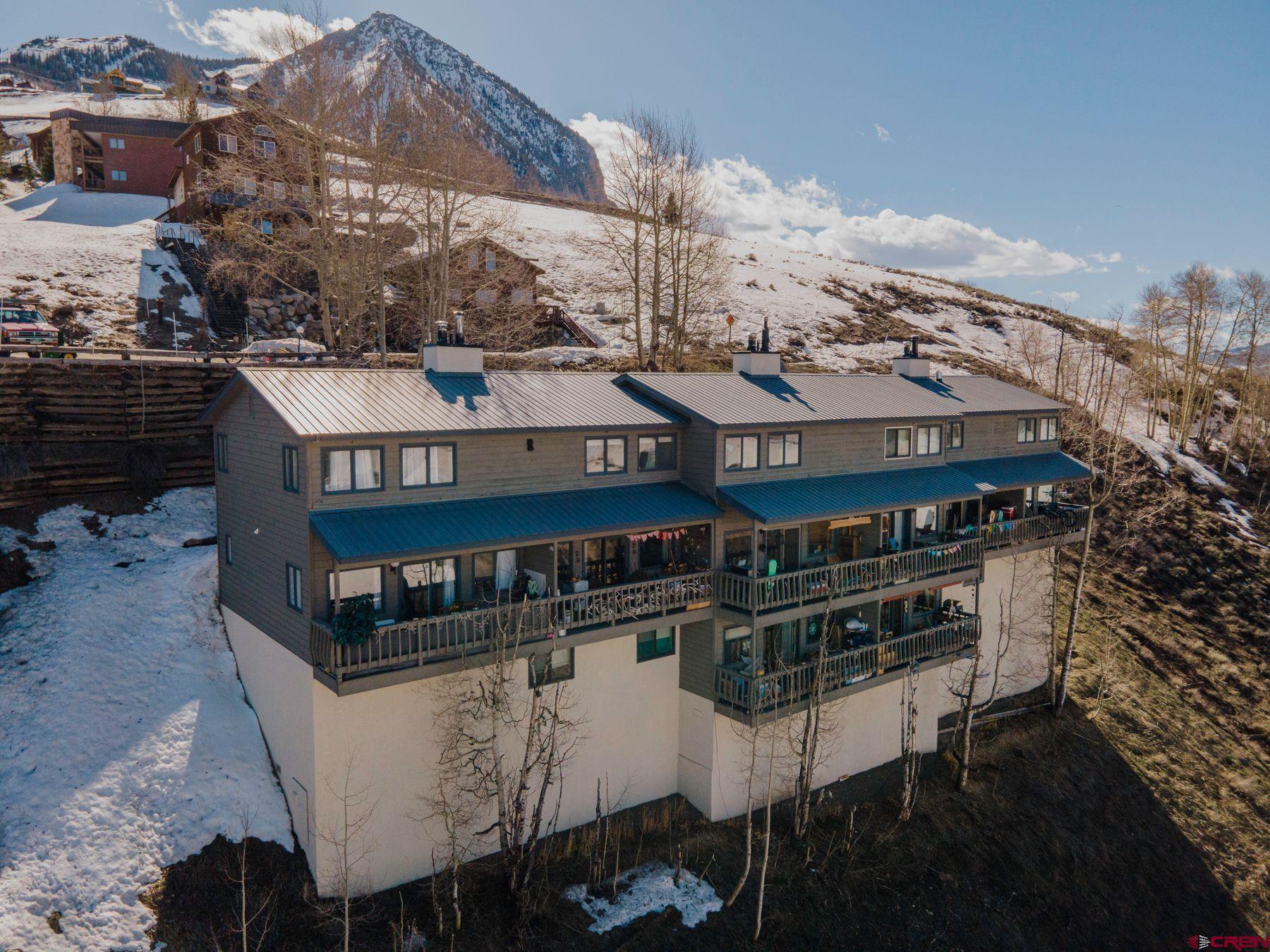 27 Crystal Road, Mt. Crested Butte, CO 