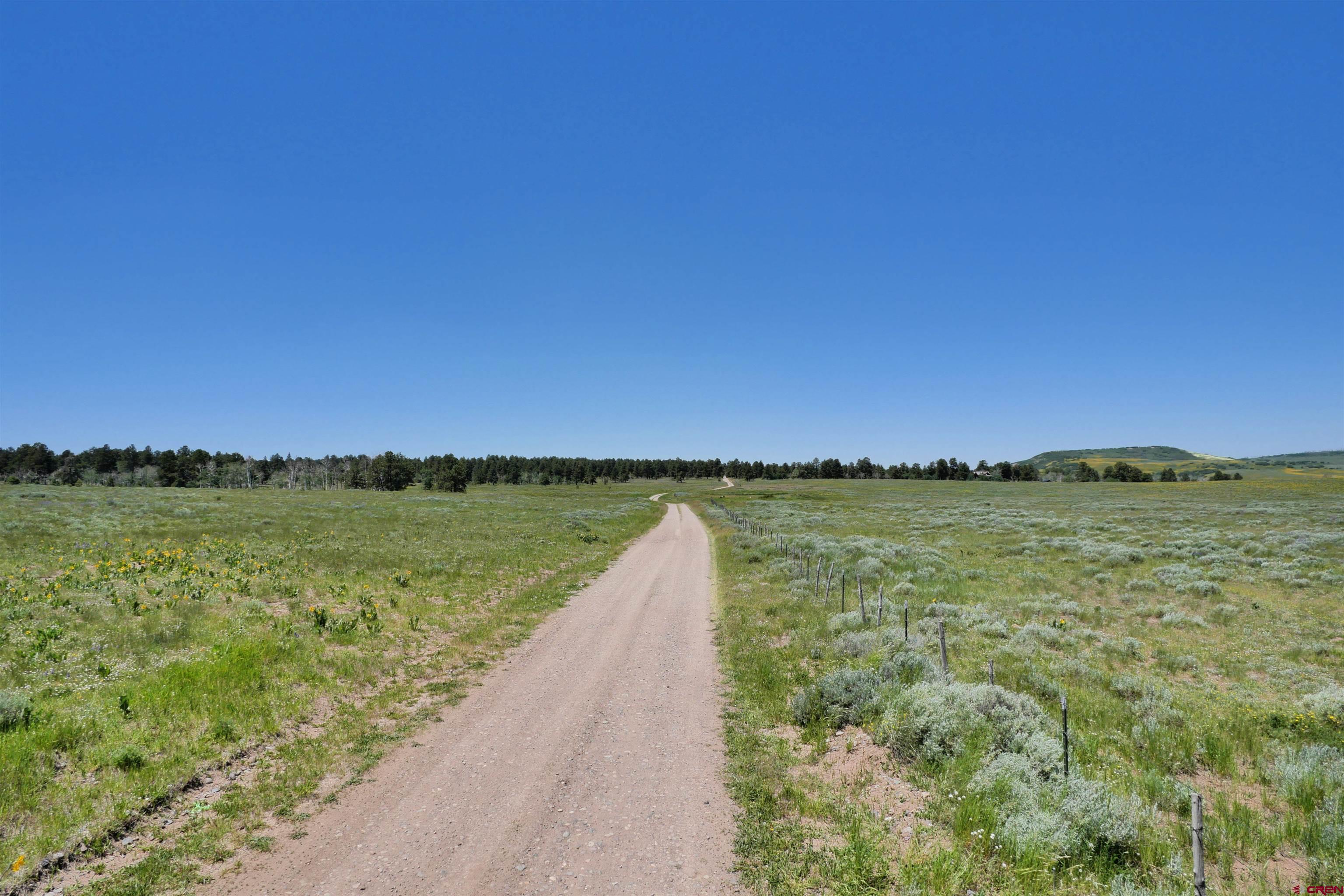 200 Acres County Road 62X, Ridgway, CO 81432 Listing Photo  15
