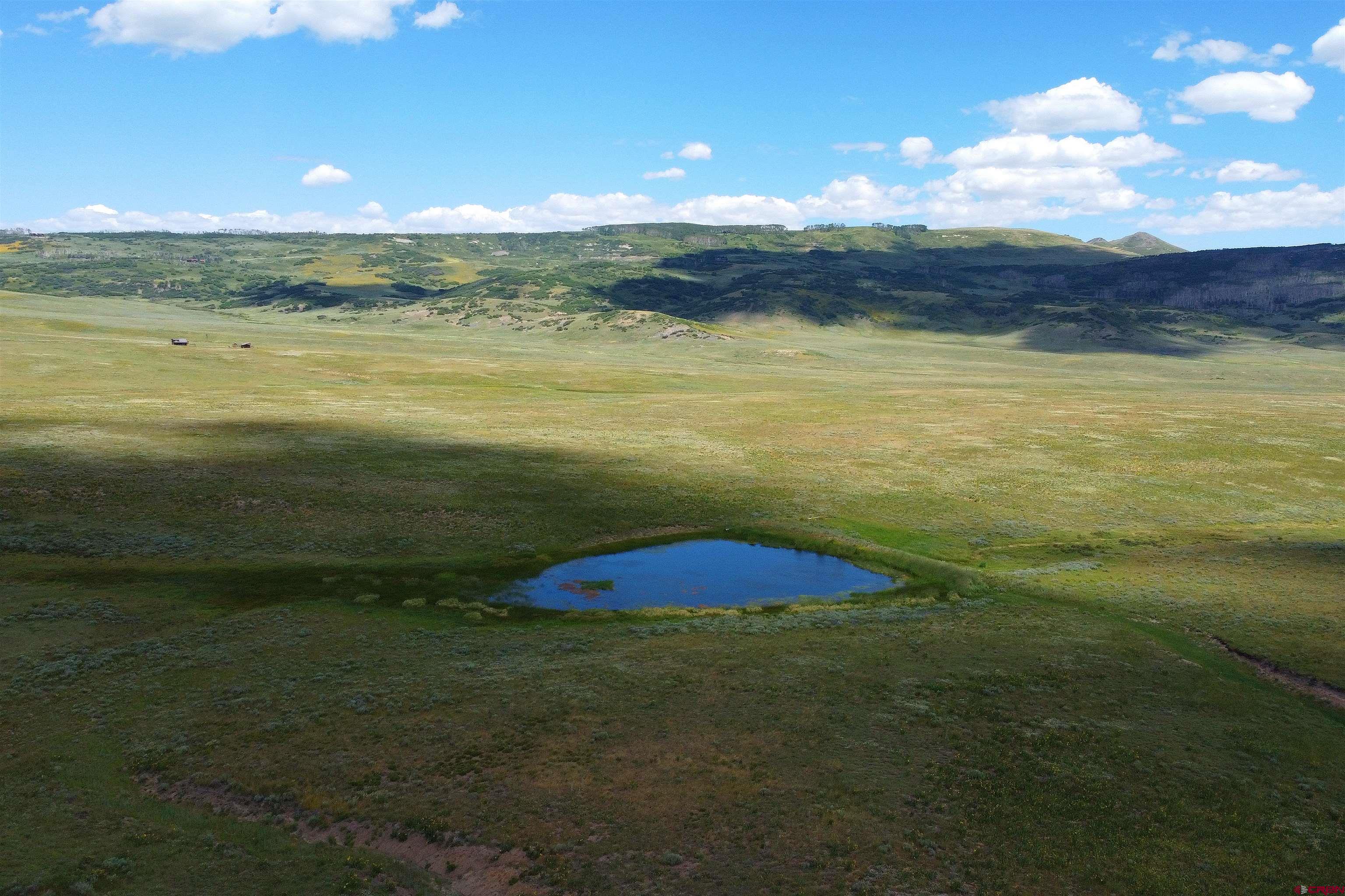 200 Acres County Road 62X, Ridgway, CO 81432 Listing Photo  3
