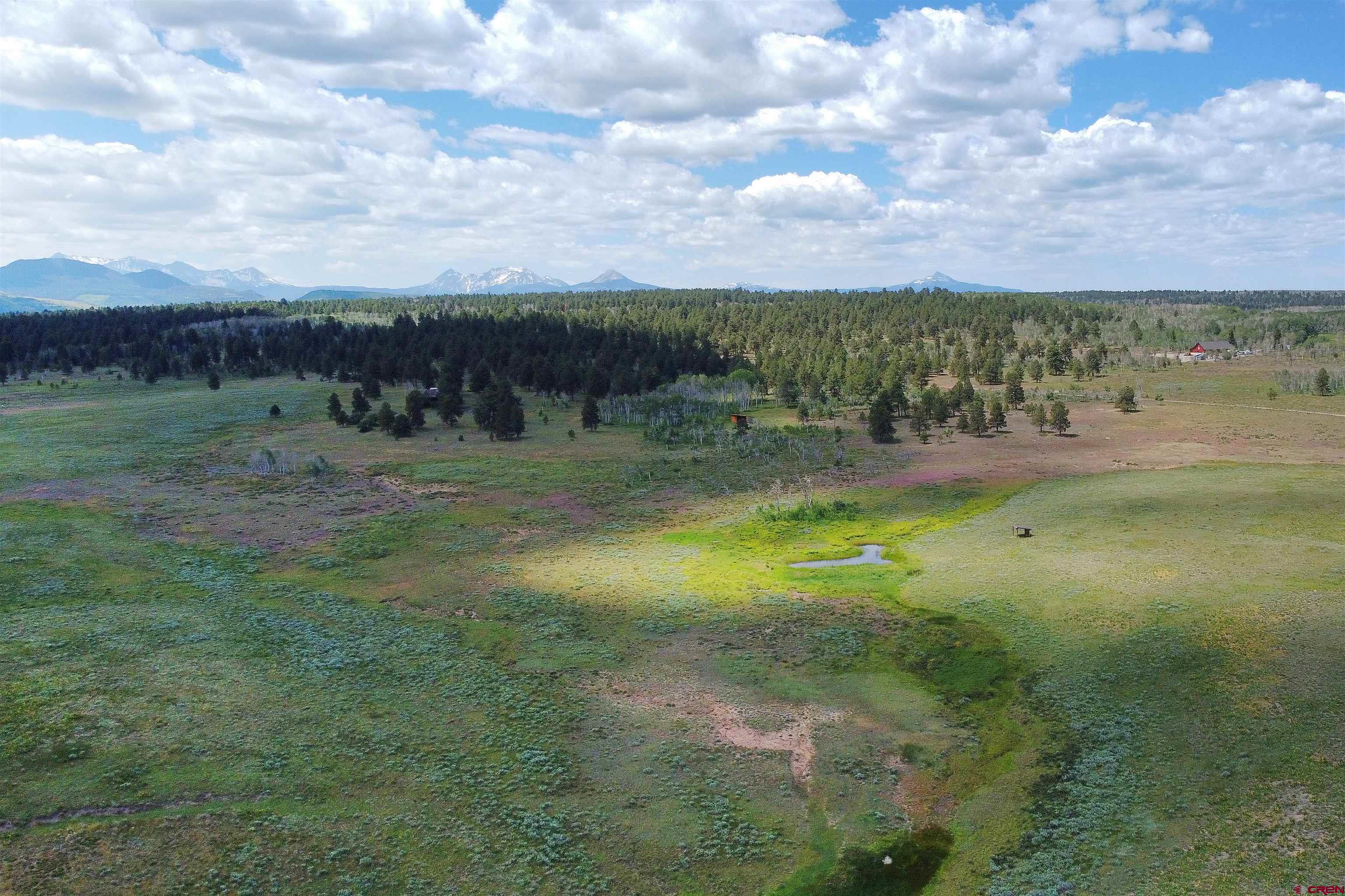 200 Acres County Road 62X, Ridgway, CO 81432 Listing Photo  4