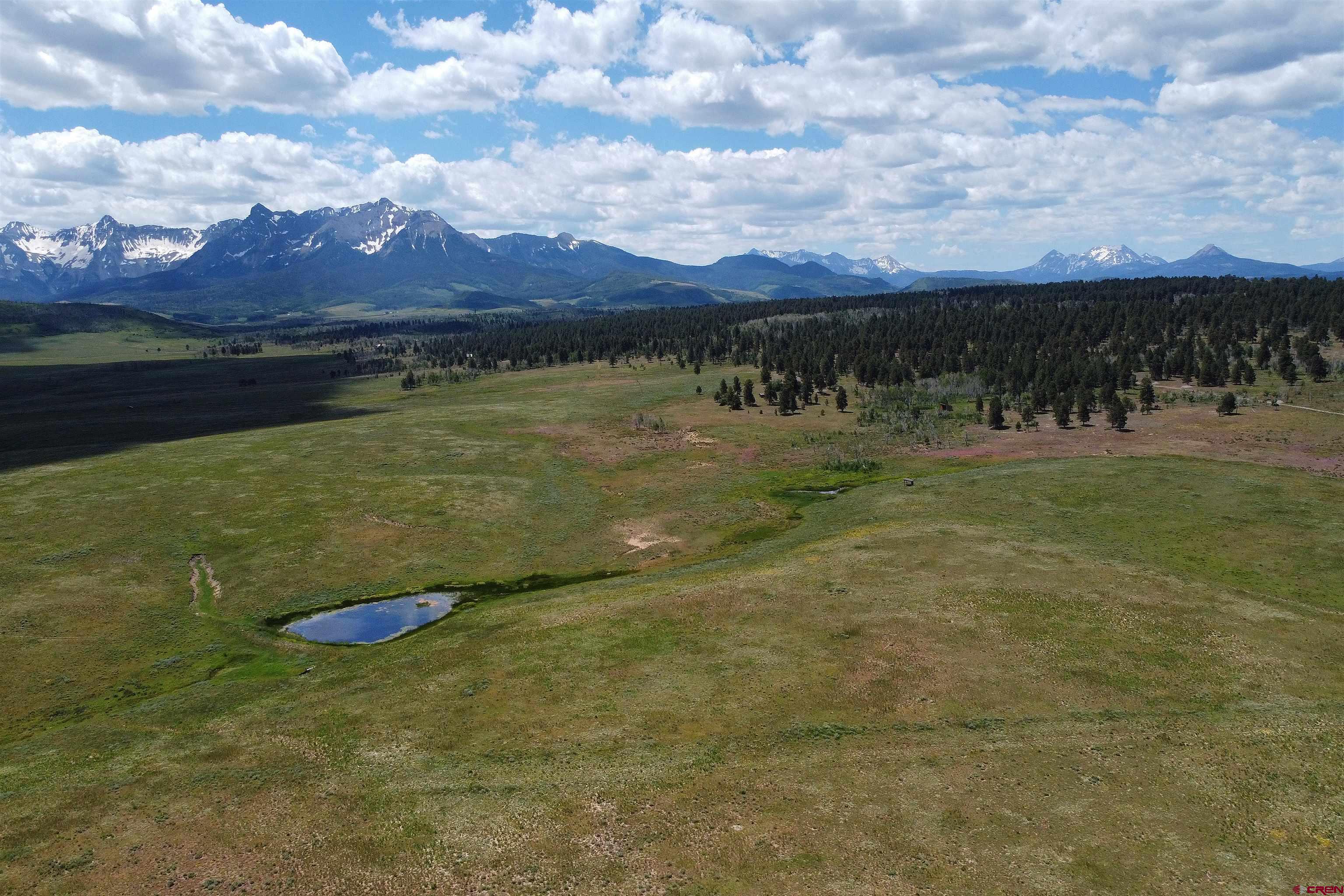 200 Acres County Road 62X, Ridgway, CO 81432 Listing Photo  5