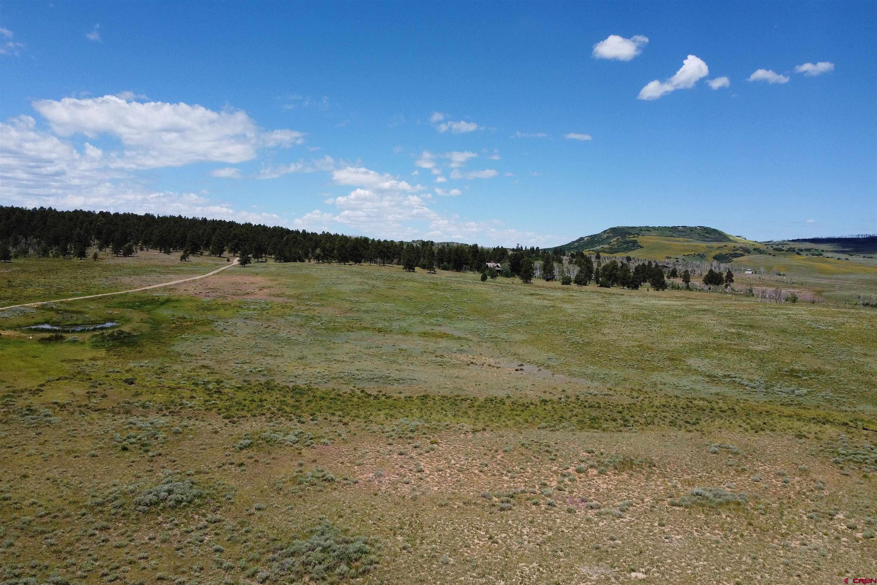200 Acres County Road 62X, Ridgway, CO 81432 Listing Photo  6