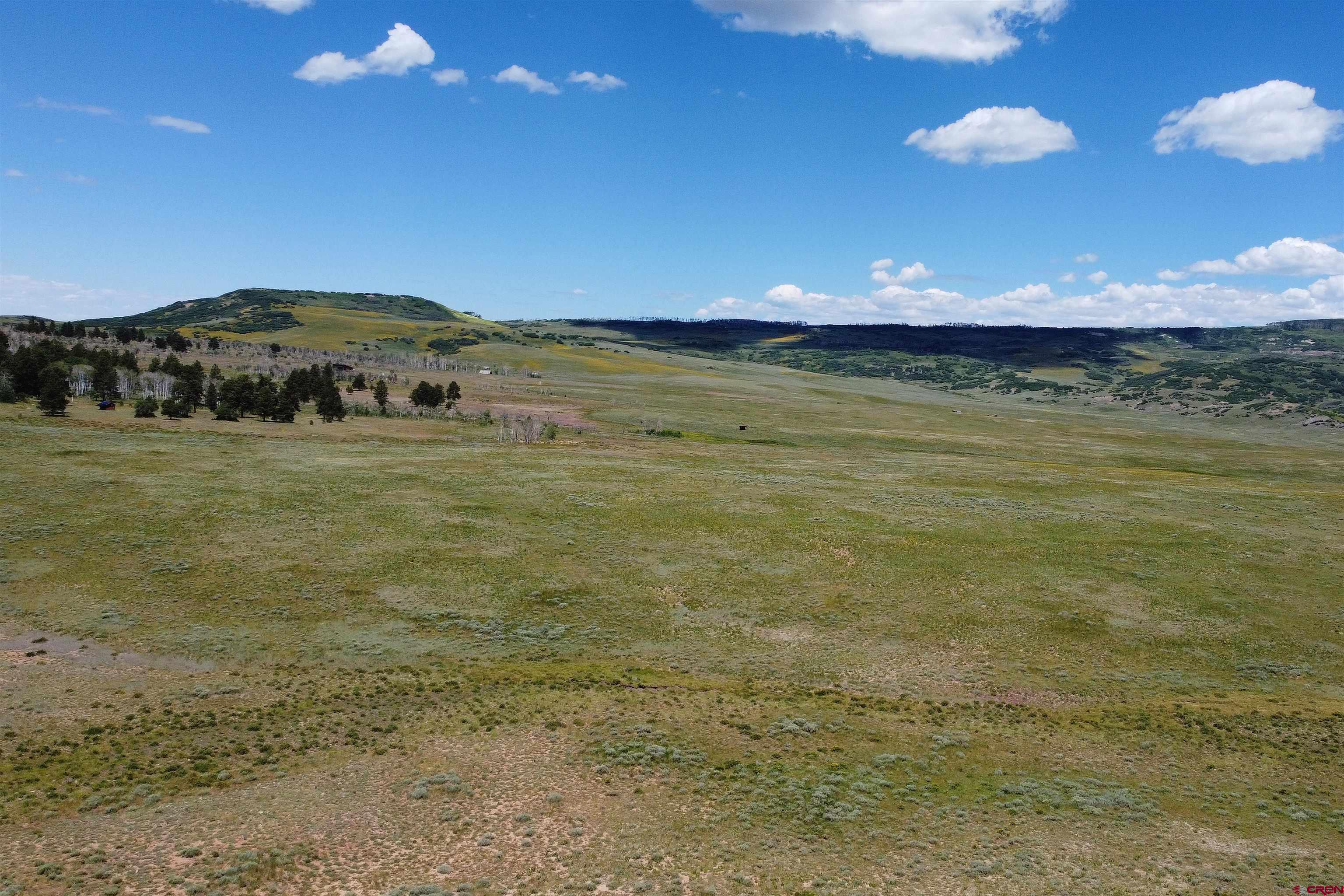 200 Acres County Road 62X, Ridgway, CO 81432 Listing Photo  7