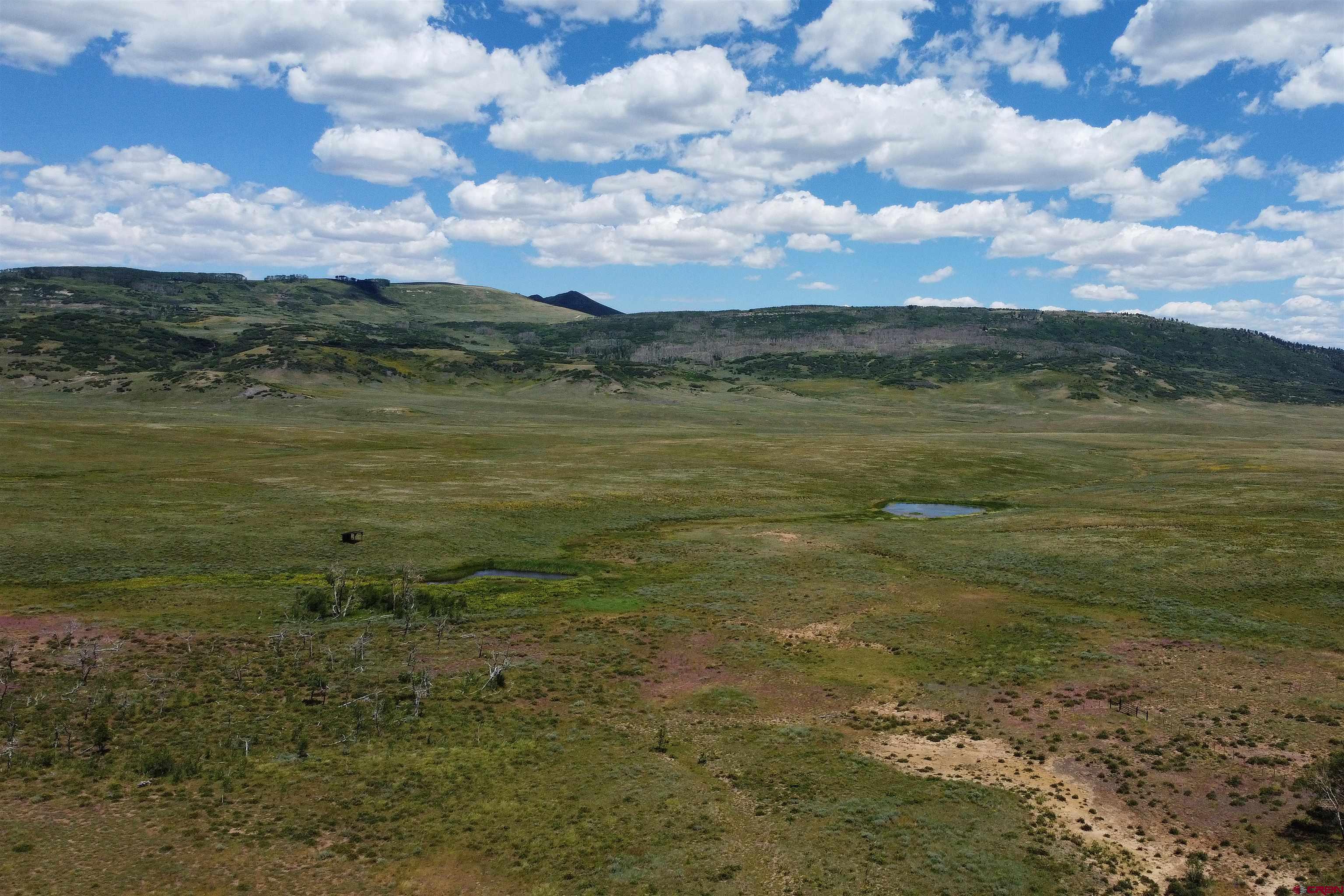 200 Acres County Road 62X, Ridgway, CO 81432 Listing Photo  9