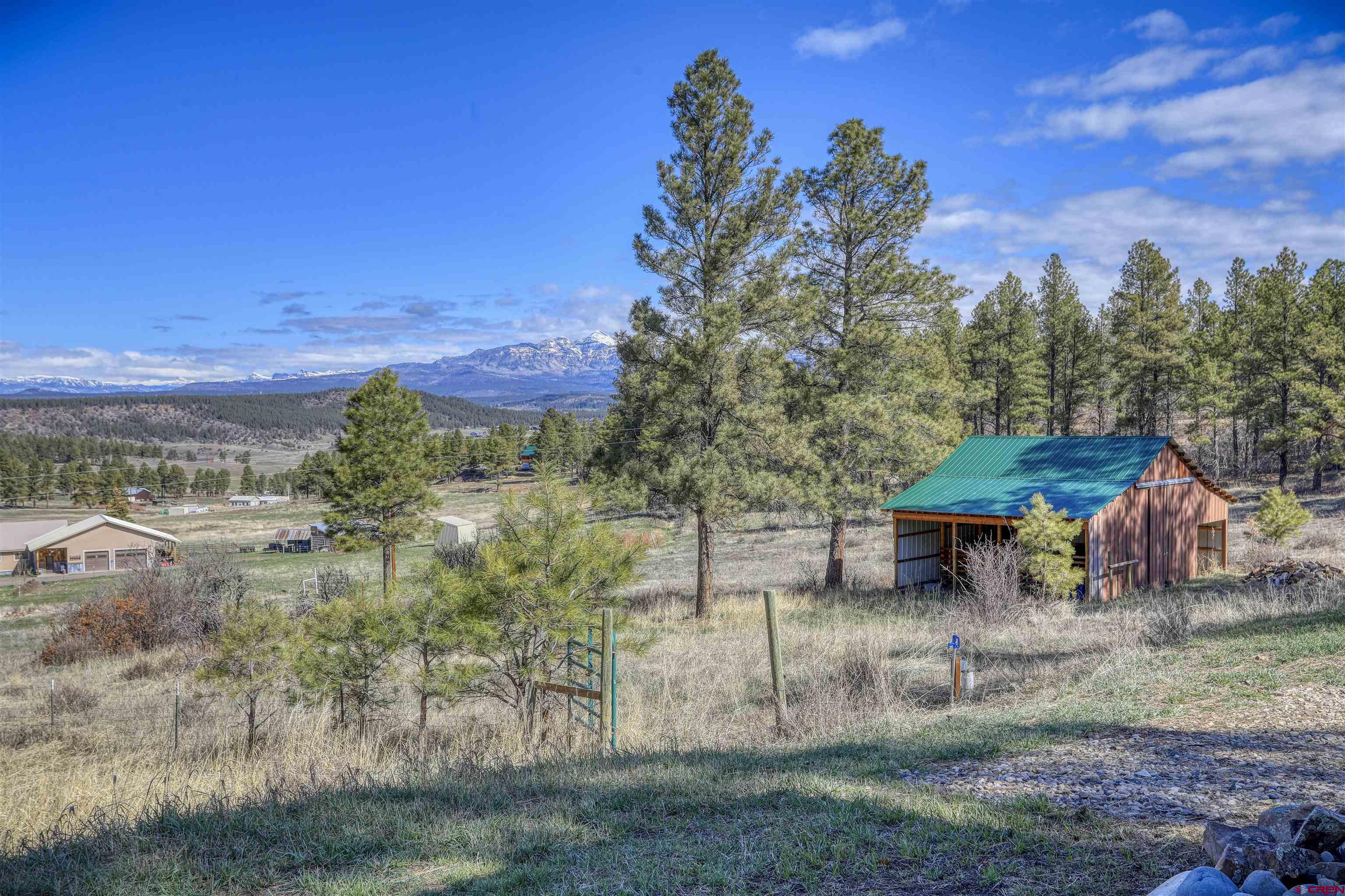 714 Pineview Road, Pagosa Springs, CO 81147 Listing Photo  2