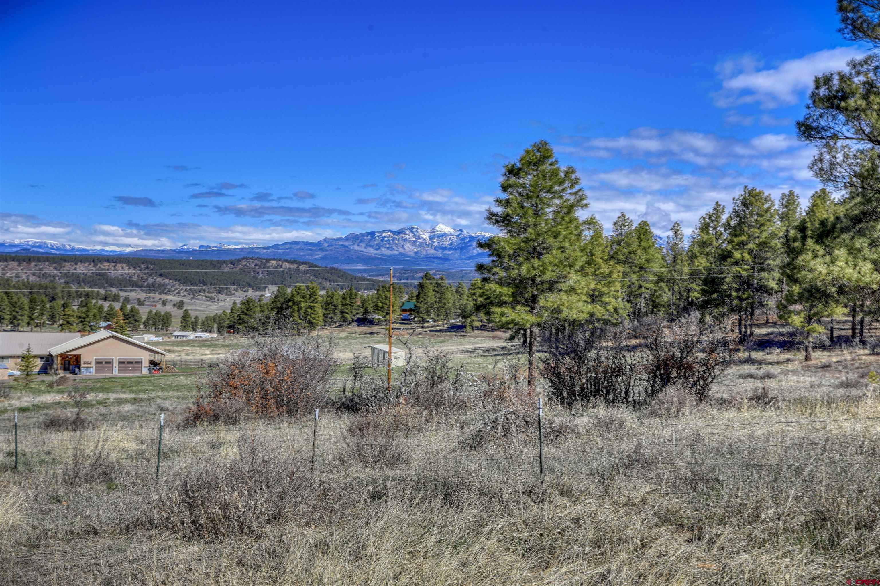 714 Pineview Road, Pagosa Springs, CO 81147 Listing Photo  3