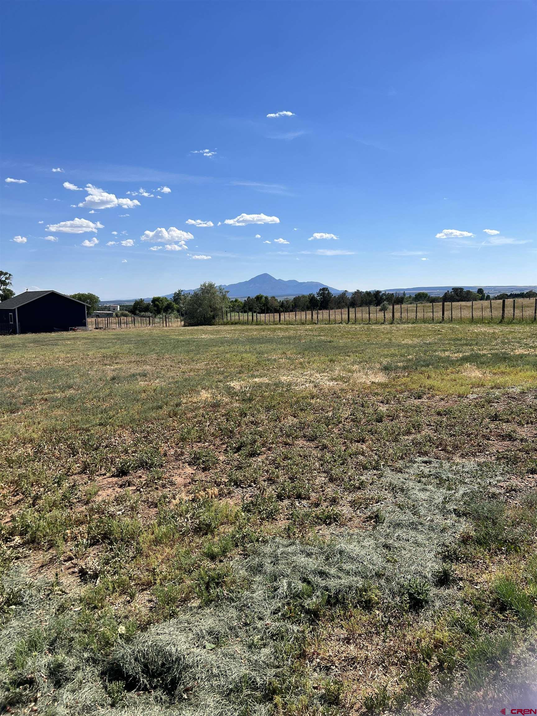 TBD Road S.85, Dolores, CO 81323 Listing Photo  2