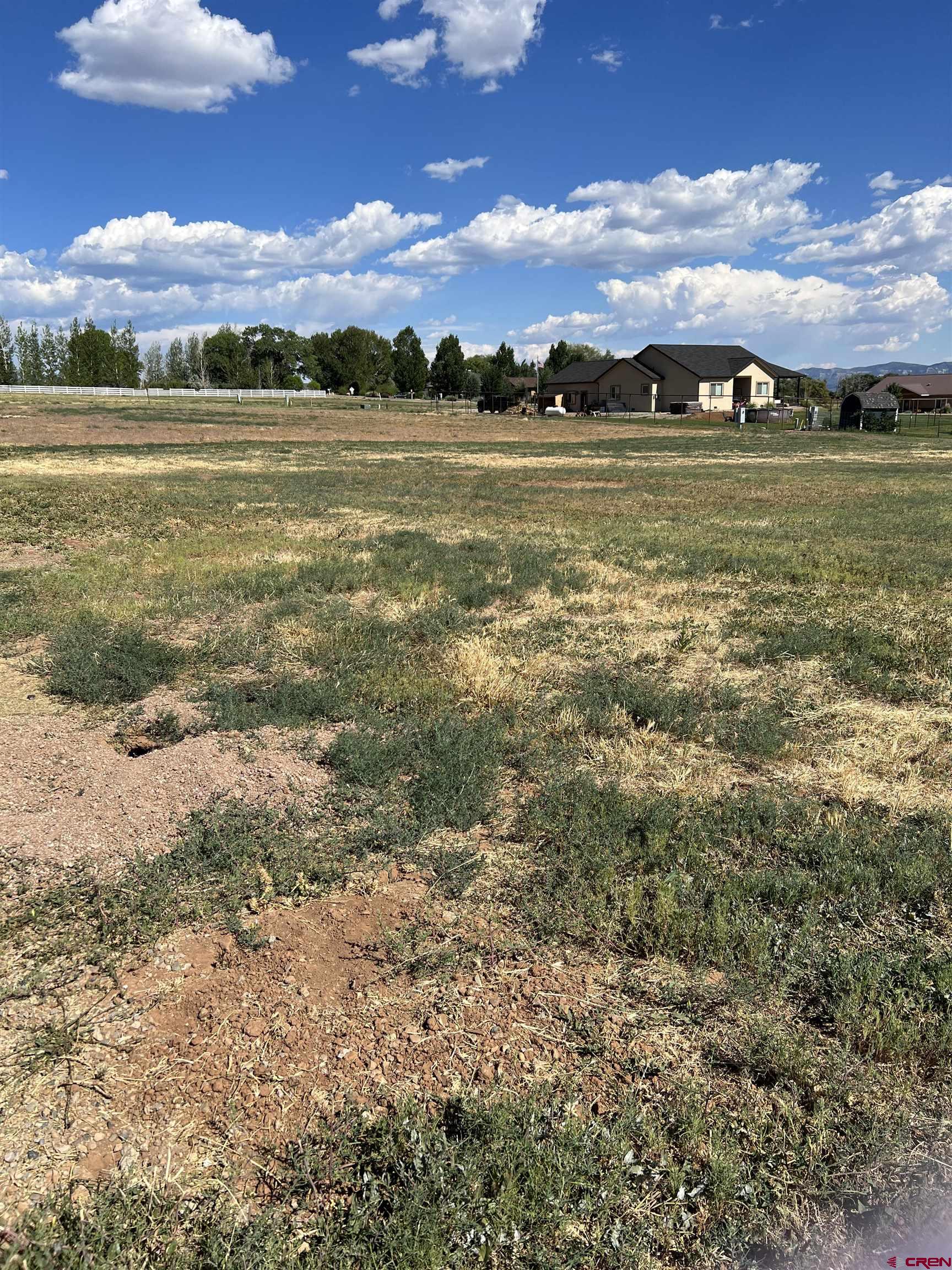 TBD Road S.85, Dolores, CO 81323 Listing Photo  3