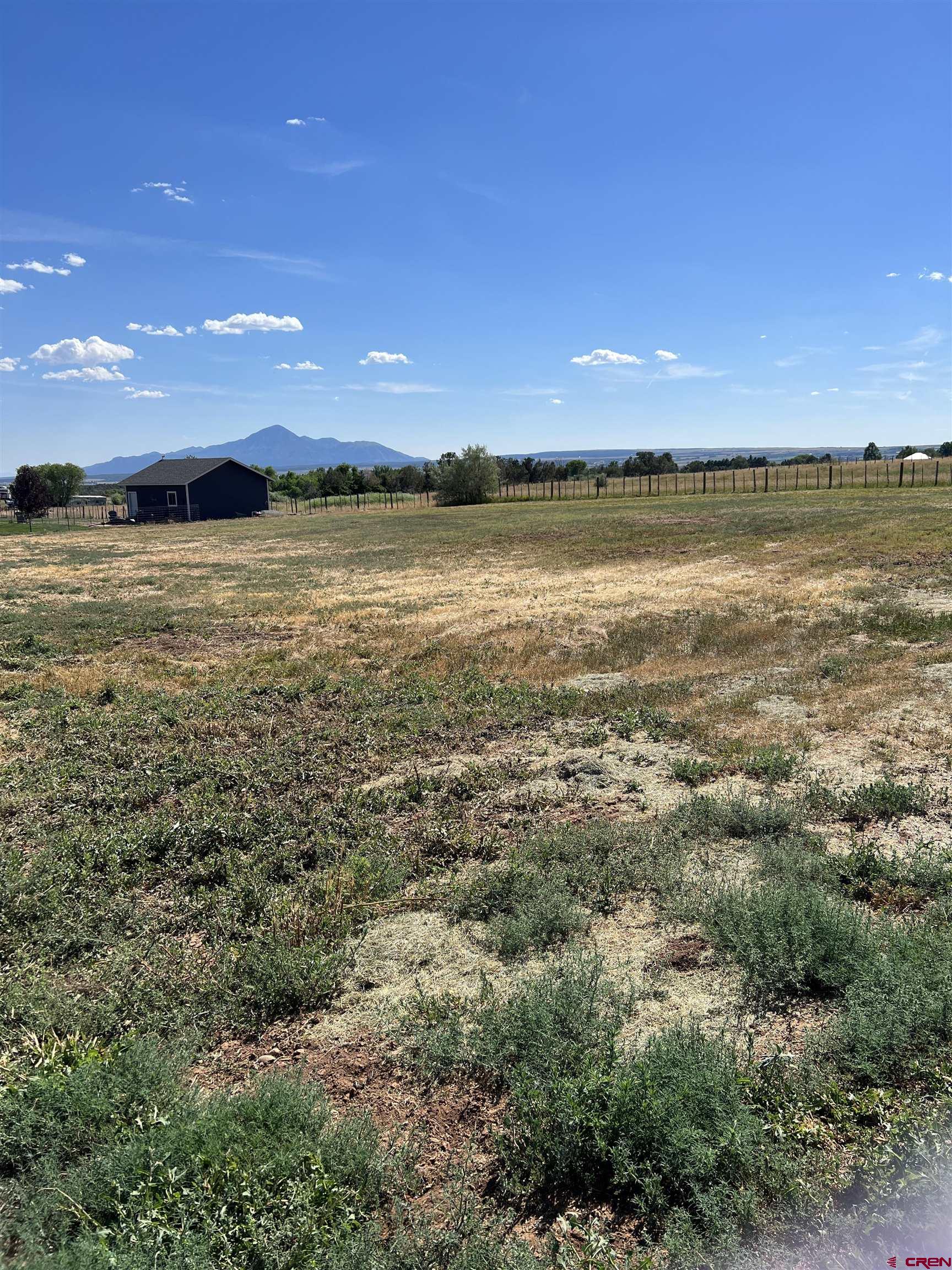 TBD Road S.85, Dolores, CO 81323 Listing Photo  4