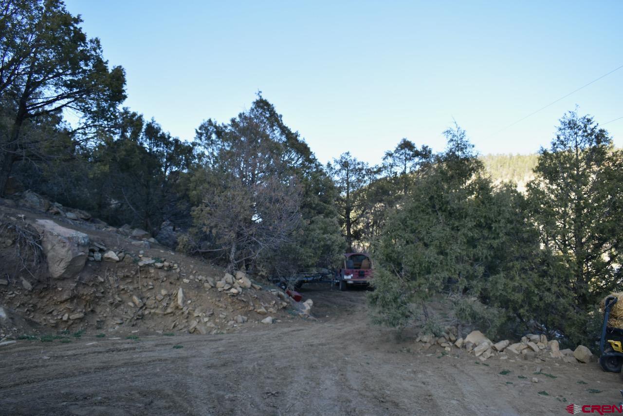 17787 County Road 500, Pagosa Springs, CO 81147 Listing Photo  8