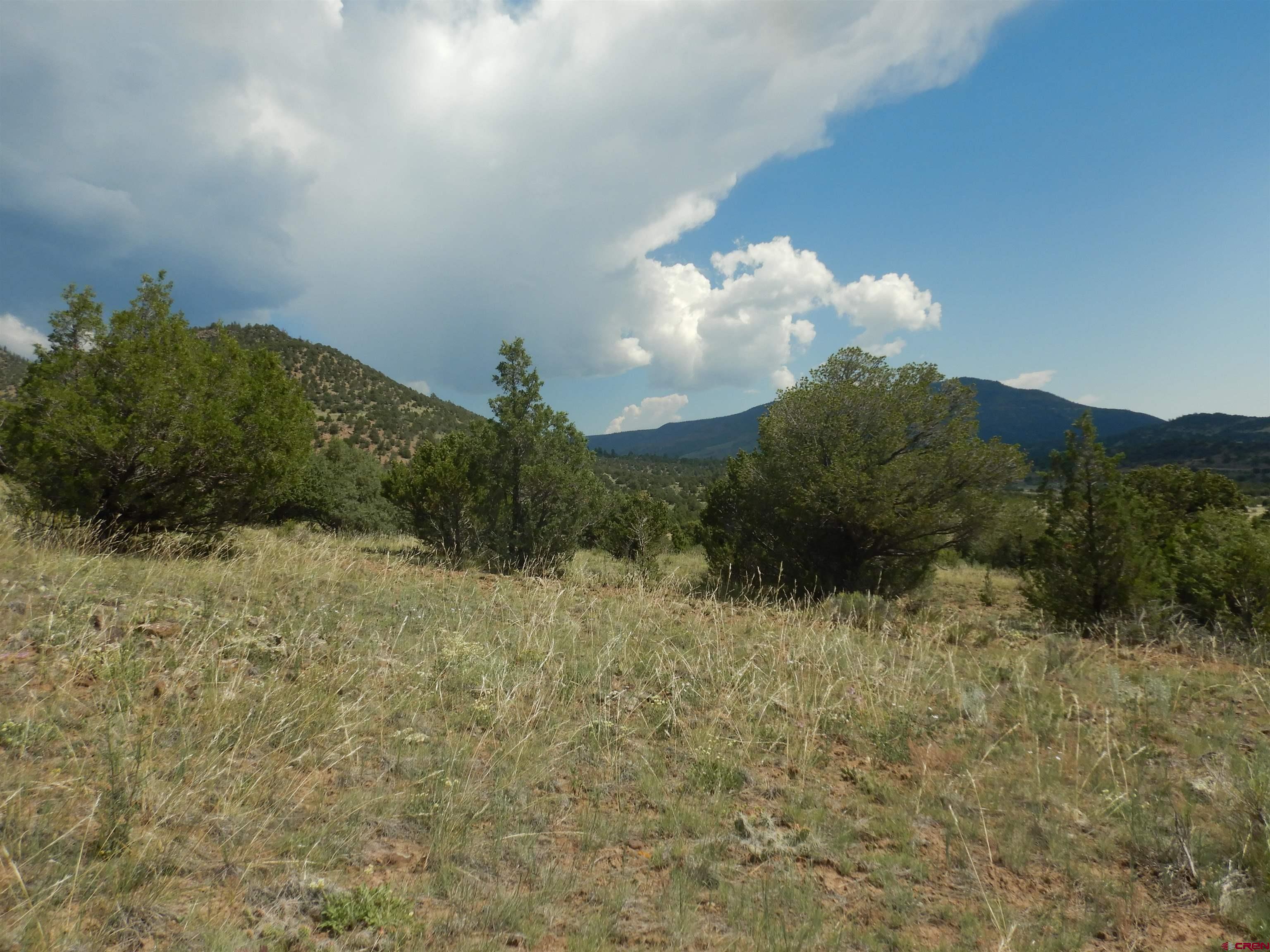 812710 cd9b7694 51ab 41de 80d1 8c1c253fb468 JPG