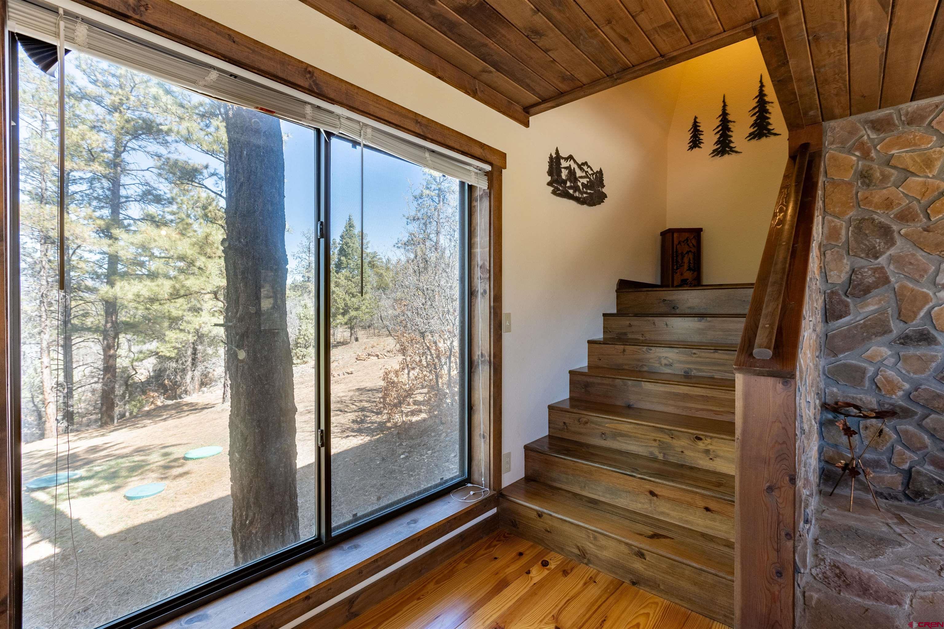 20 Look Away Place, Pagosa Springs, CO 81147 Listing Photo  15