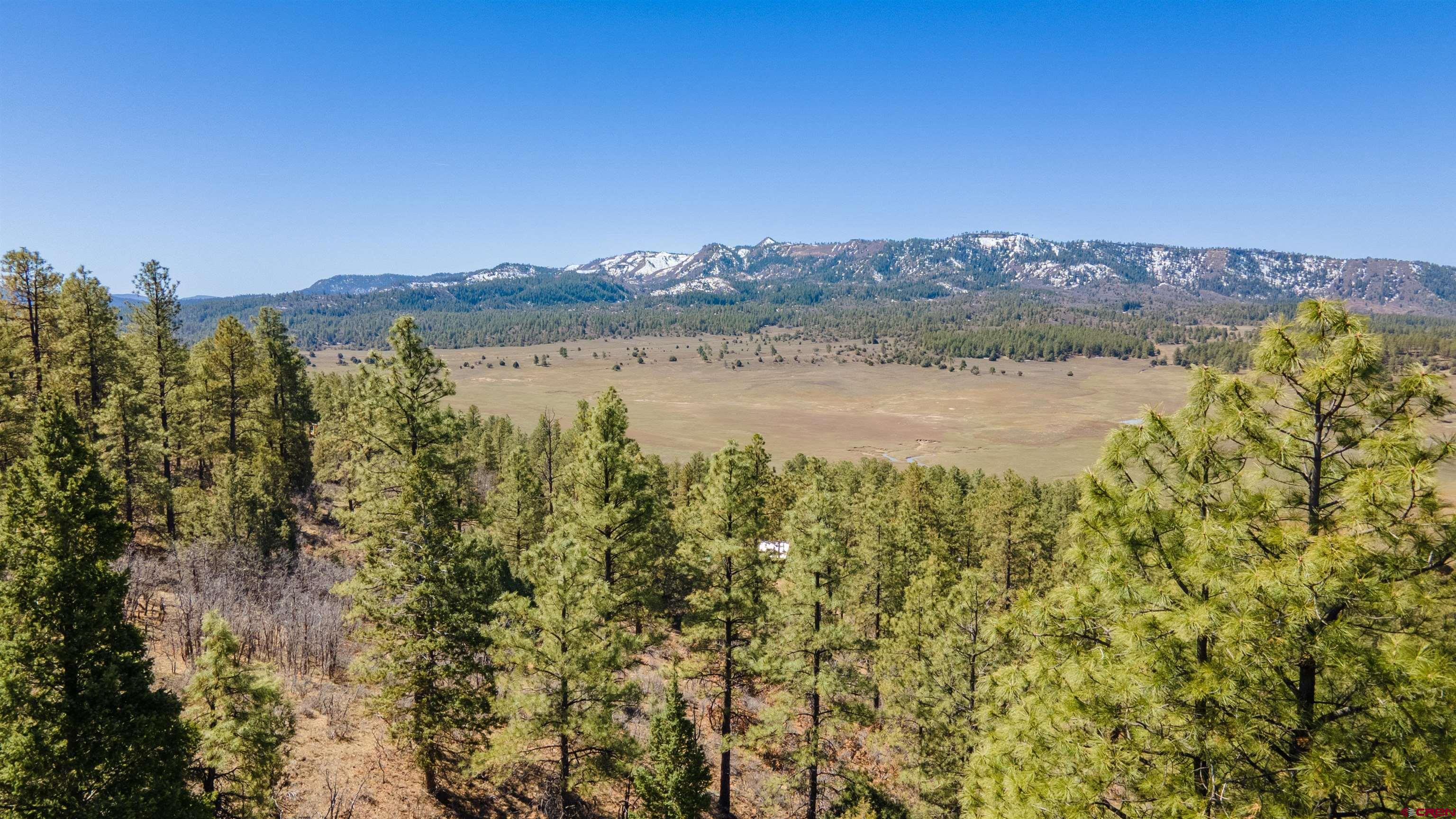 20 Look Away Place, Pagosa Springs, CO 81147 Listing Photo  28