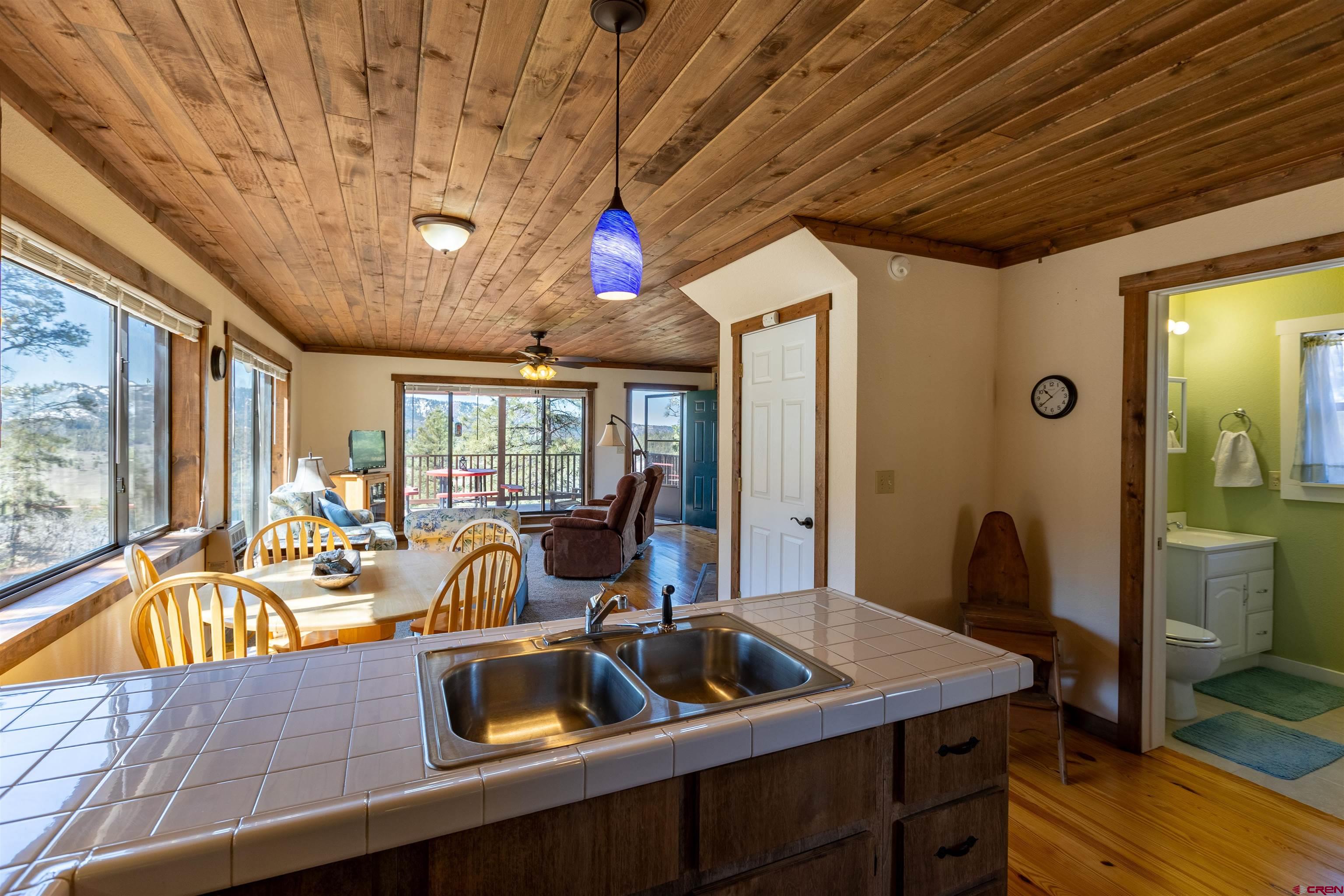 20 Look Away Place, Pagosa Springs, CO 81147 Listing Photo  8