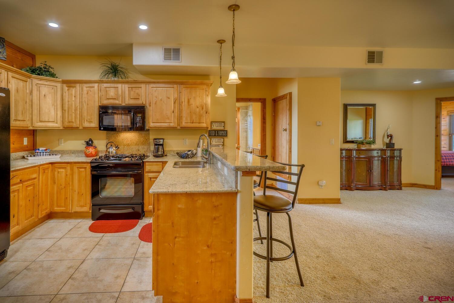 109 Ace Court #201, Pagosa Springs, CO 81147 Listing Photo  6