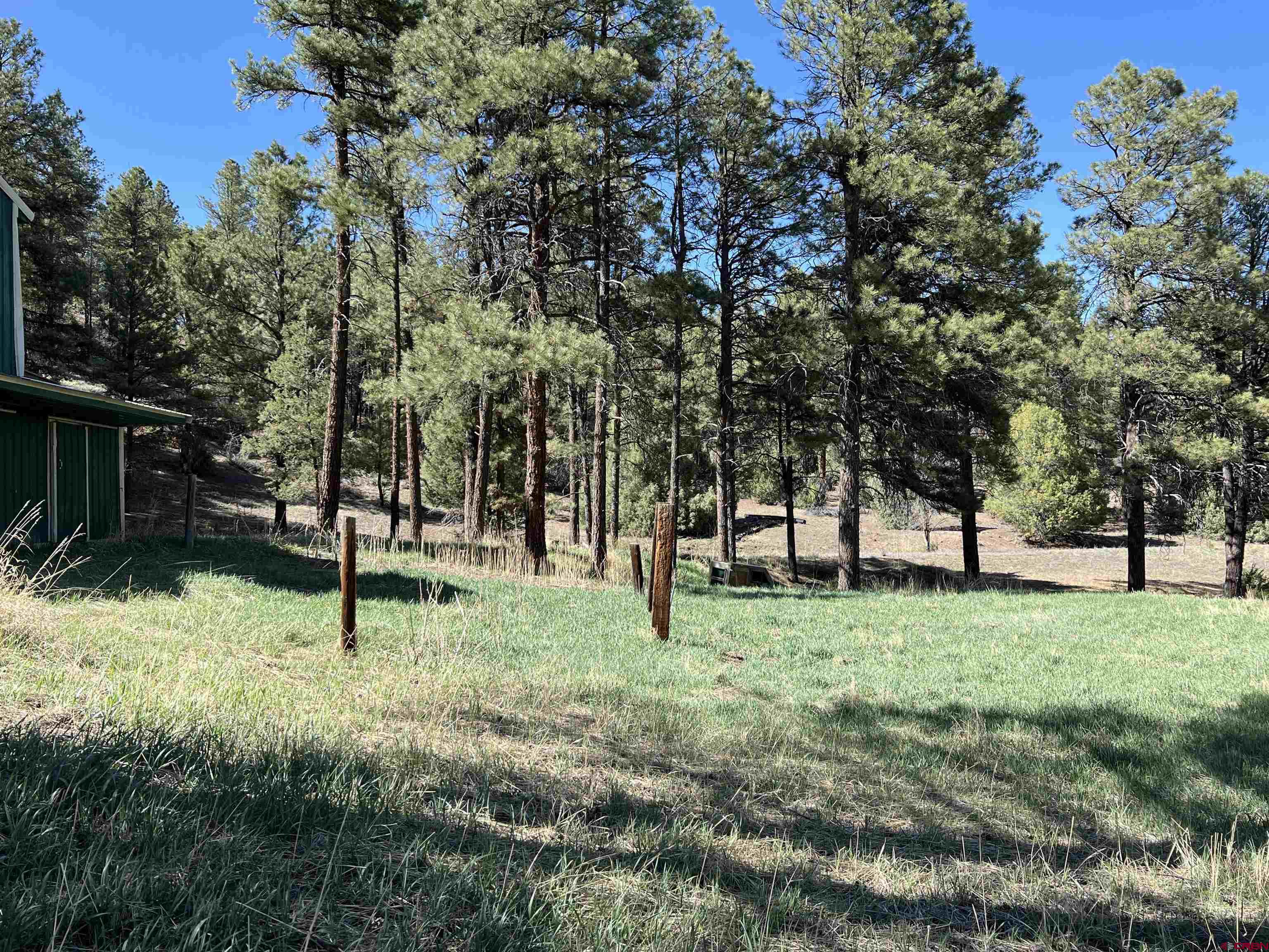 X County Rd 200, Pagosa Springs, CO 81147 Listing Photo  16