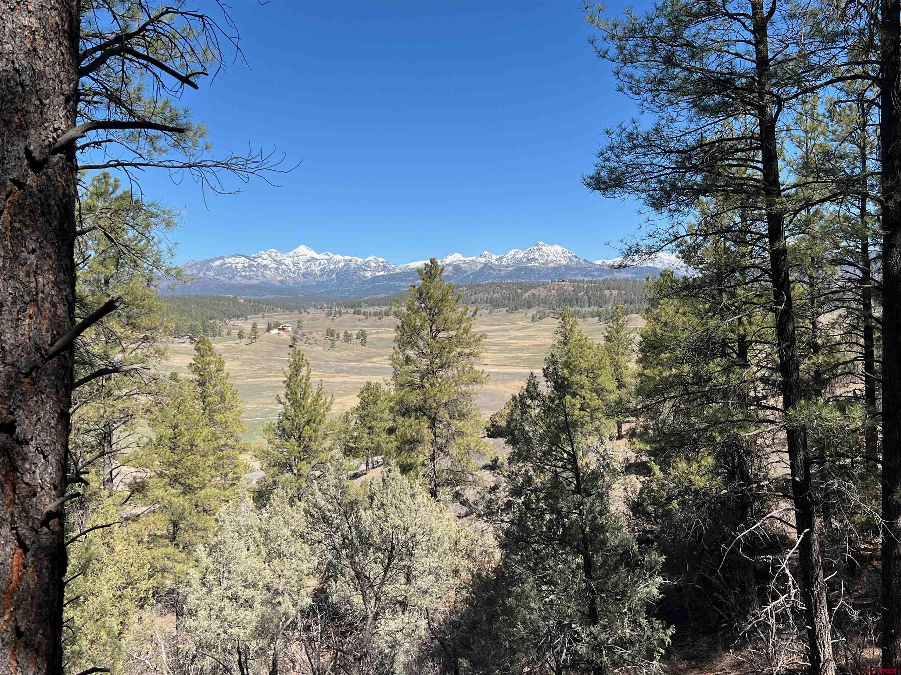 X County Rd 200, Pagosa Springs, CO 81147 Listing Photo  3