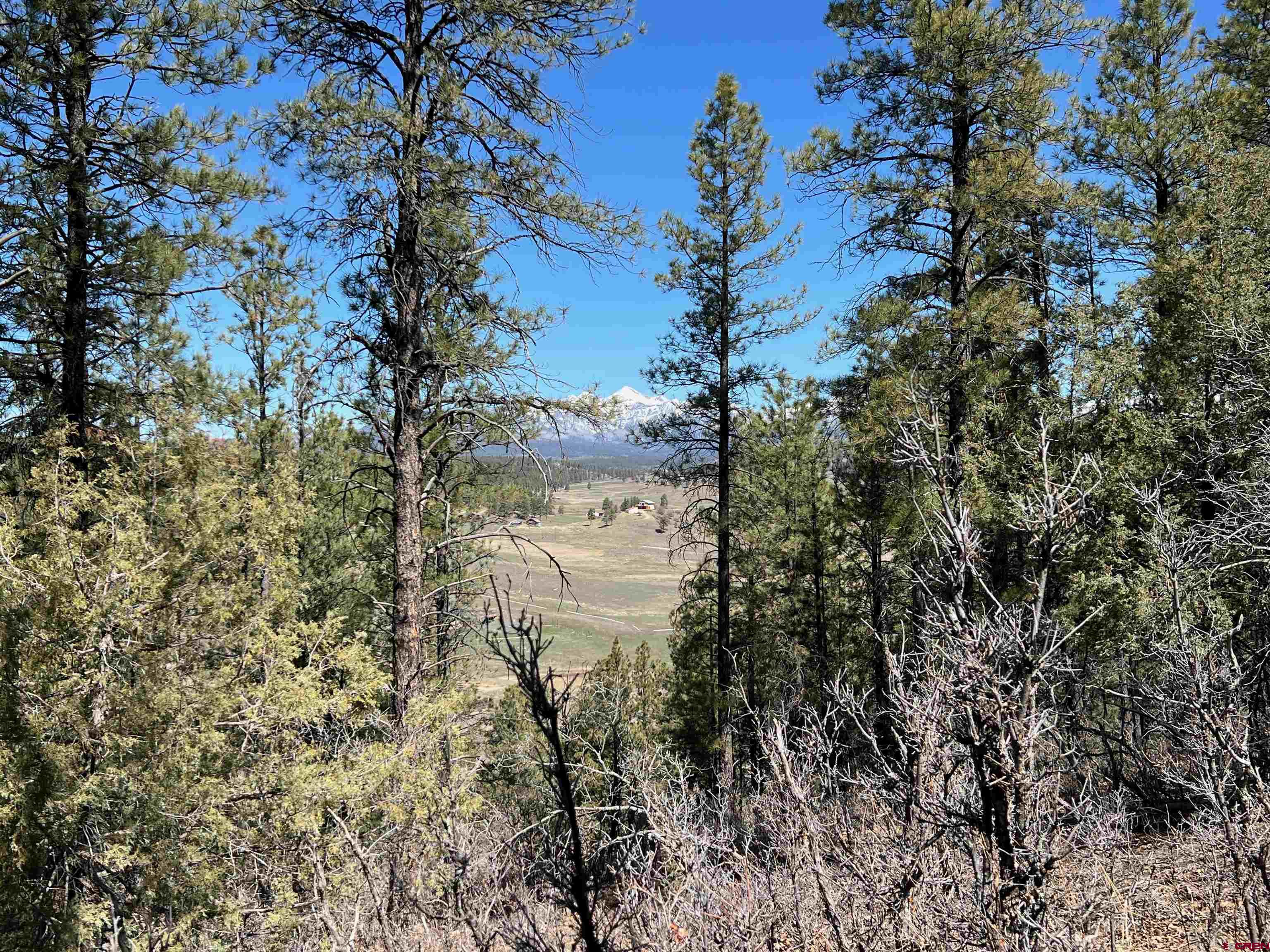 X County Rd 200, Pagosa Springs, CO 81147 Listing Photo  21