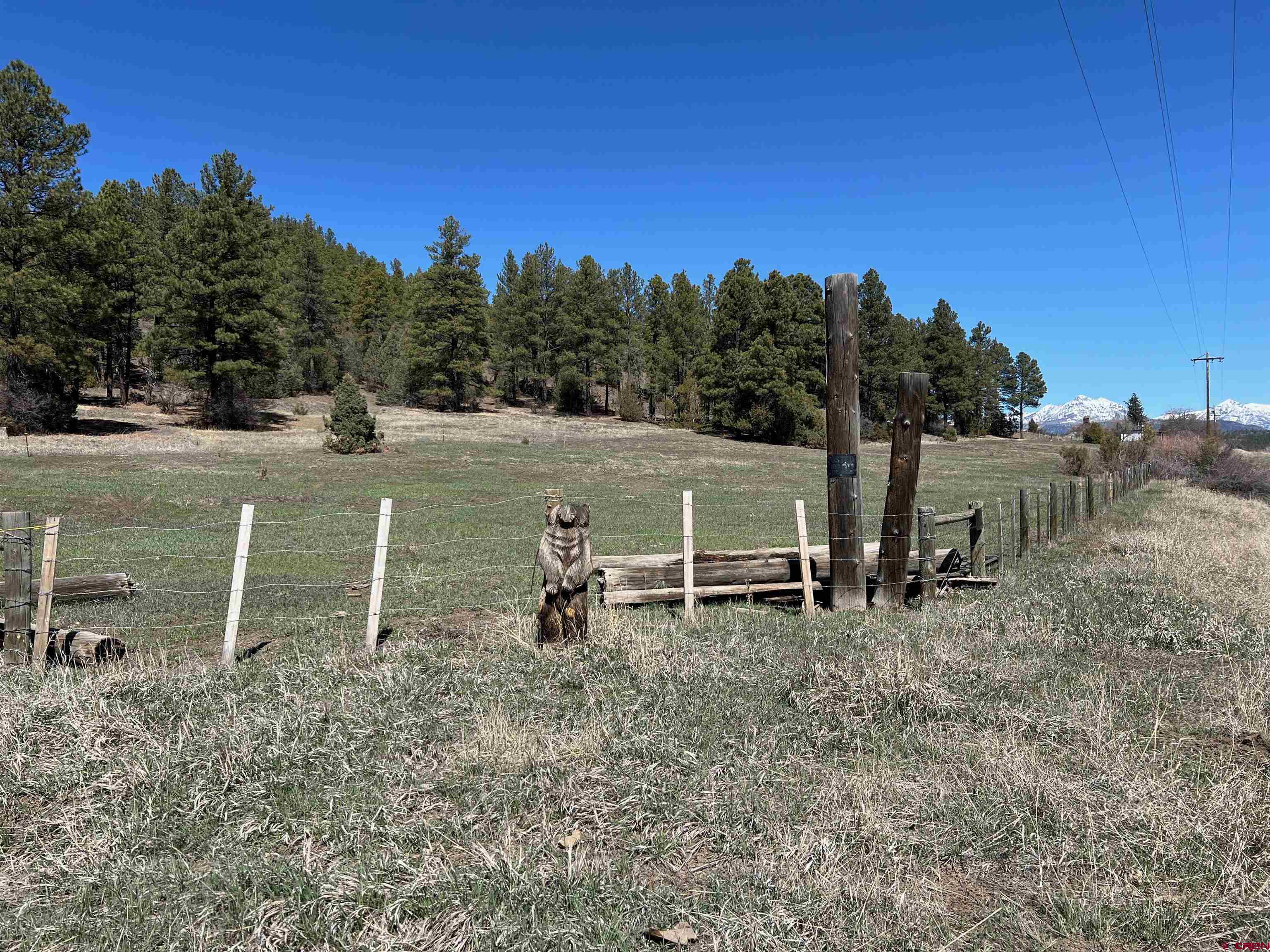 X County Rd 200, Pagosa Springs, CO 81147 Listing Photo  30