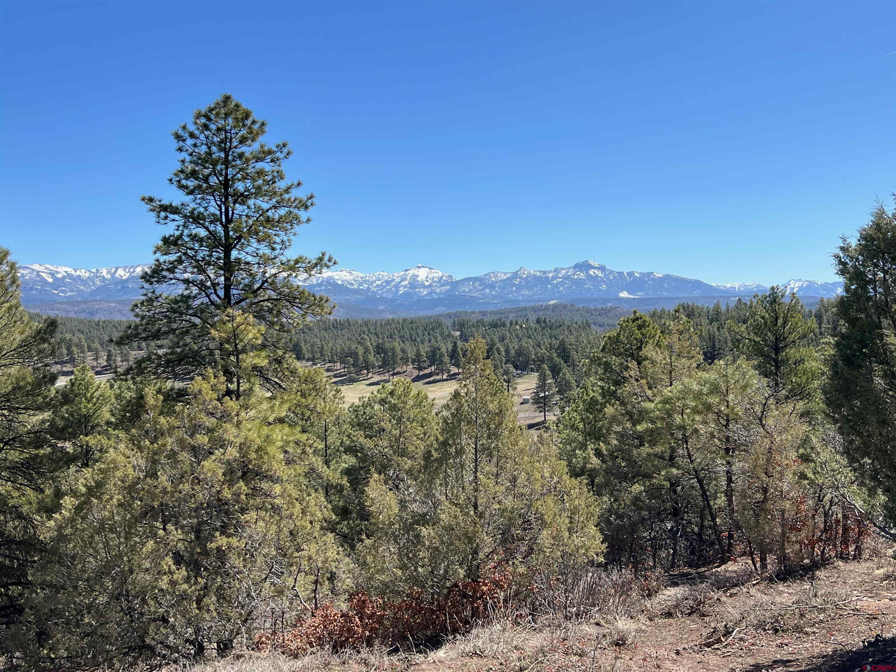X County Rd 200, Pagosa Springs, CO 81147 Listing Photo  9