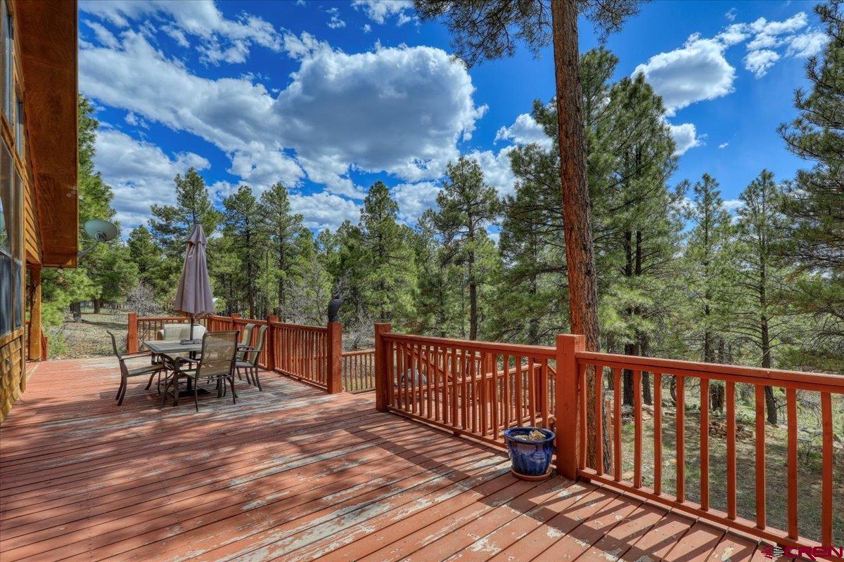 1969 Lake Forest Circle, Pagosa Springs, CO 81147 Listing Photo  27