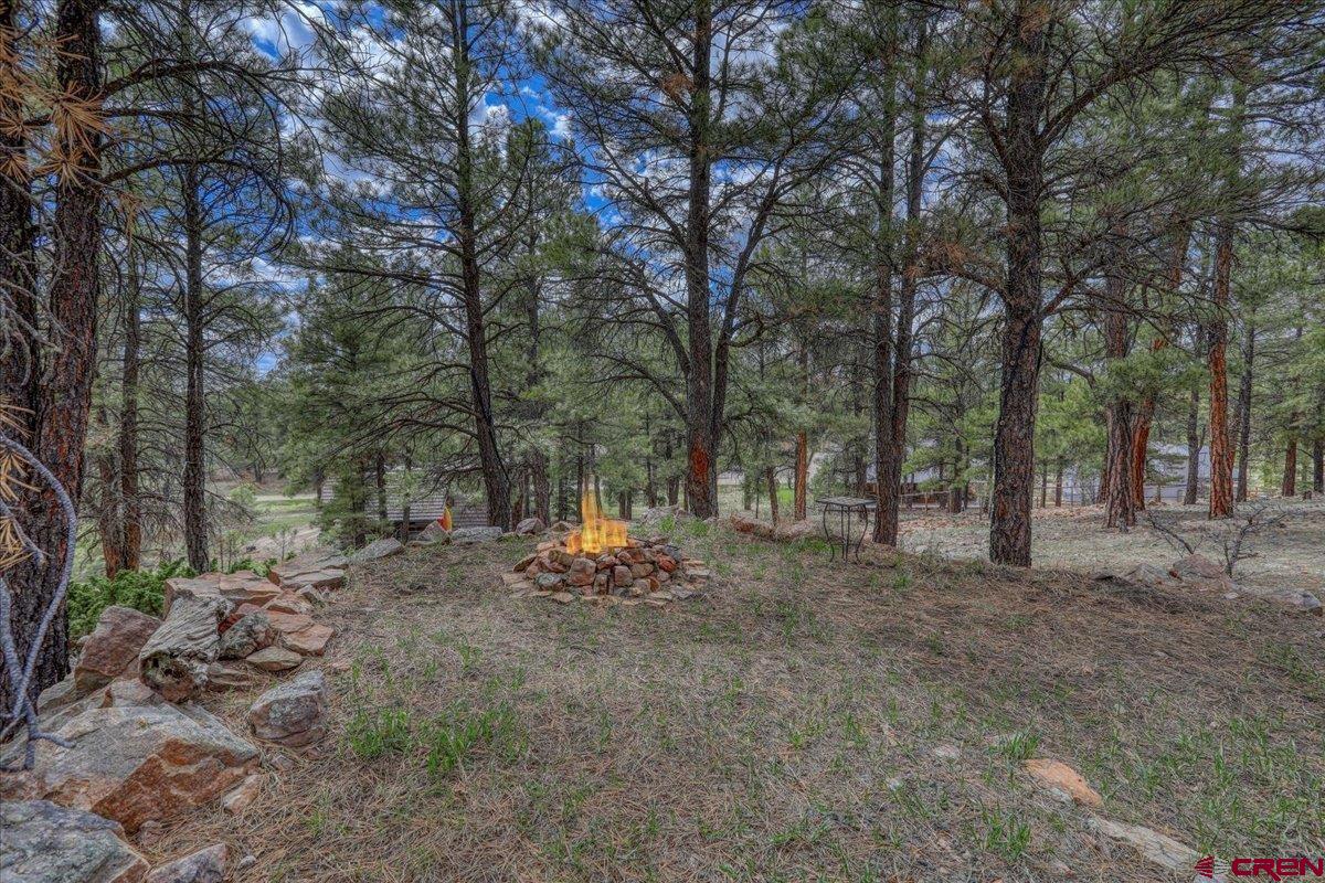 1969 Lake Forest Circle, Pagosa Springs, CO 81147 Listing Photo  29