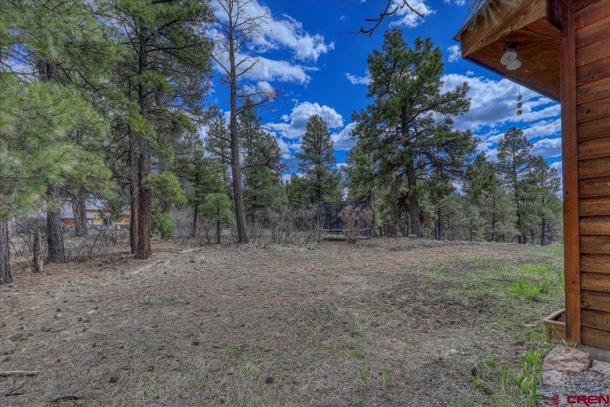 1969 Lake Forest Circle, Pagosa Springs, CO 81147 Listing Photo  30