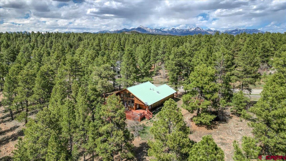 1969 Lake Forest Circle, Pagosa Springs, CO 81147 Listing Photo  34