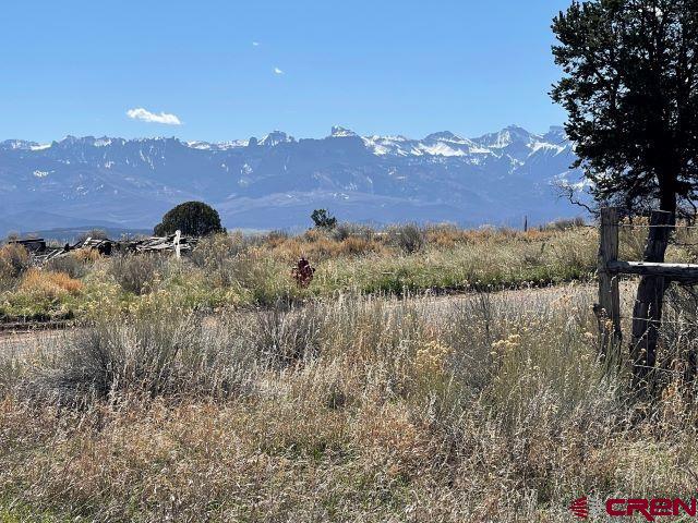 2119 County Road 1A, Montrose, CO 81403 Listing Photo  5