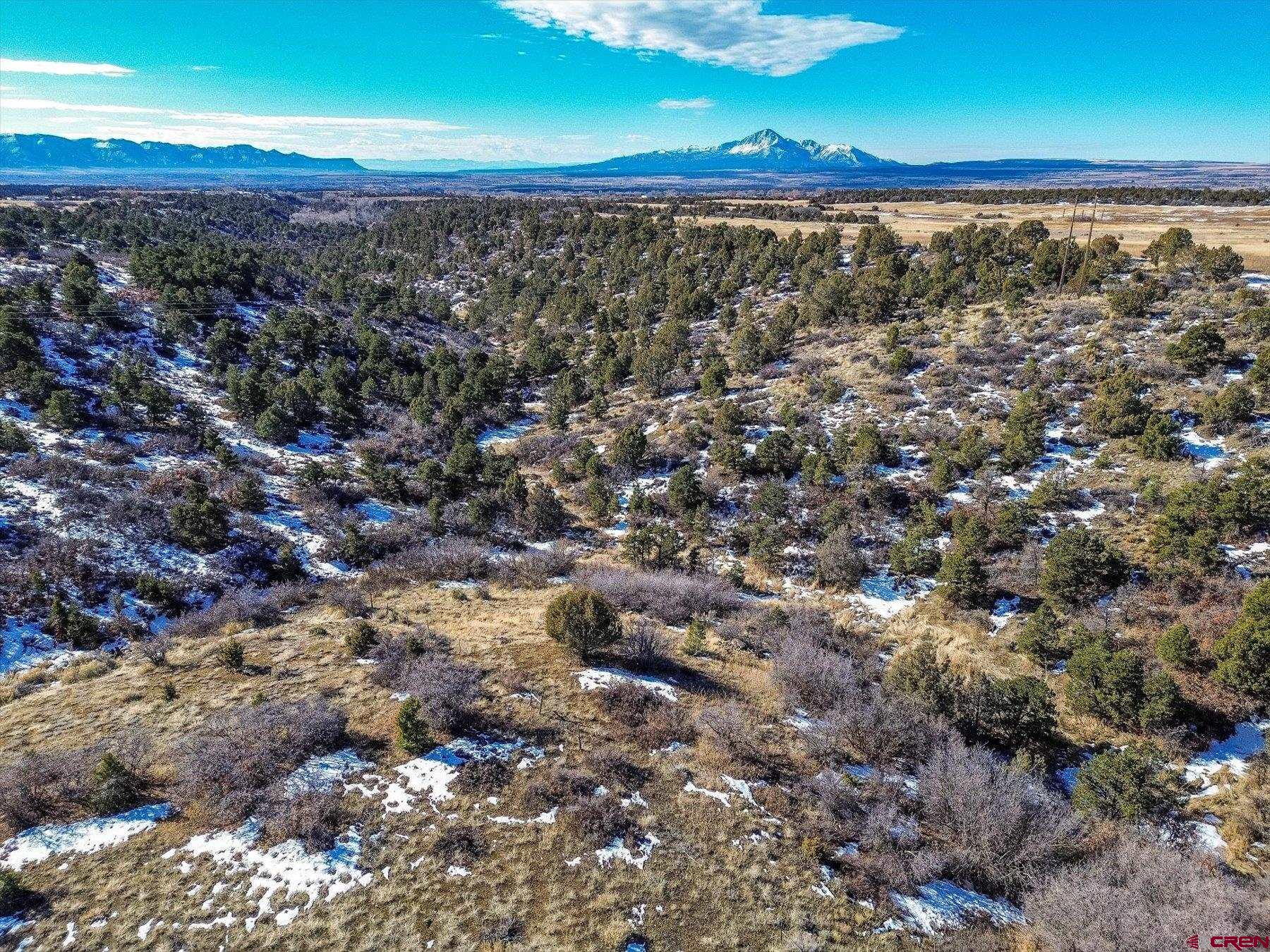 TBD Road 25, Dolores, CO 81323 Listing Photo  6