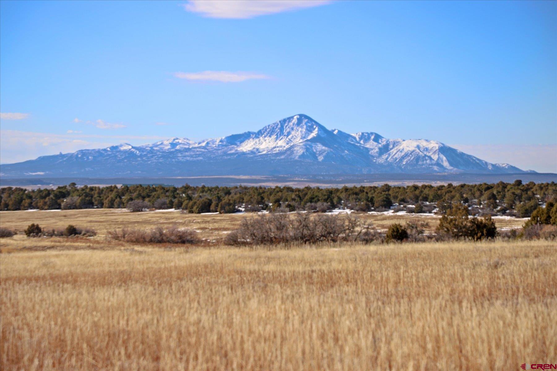 TBD Road 25, Dolores, CO 81323 Listing Photo  7