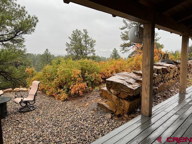 1033 Buttress Avenue, Pagosa Springs, CO 81147 Listing Photo  22