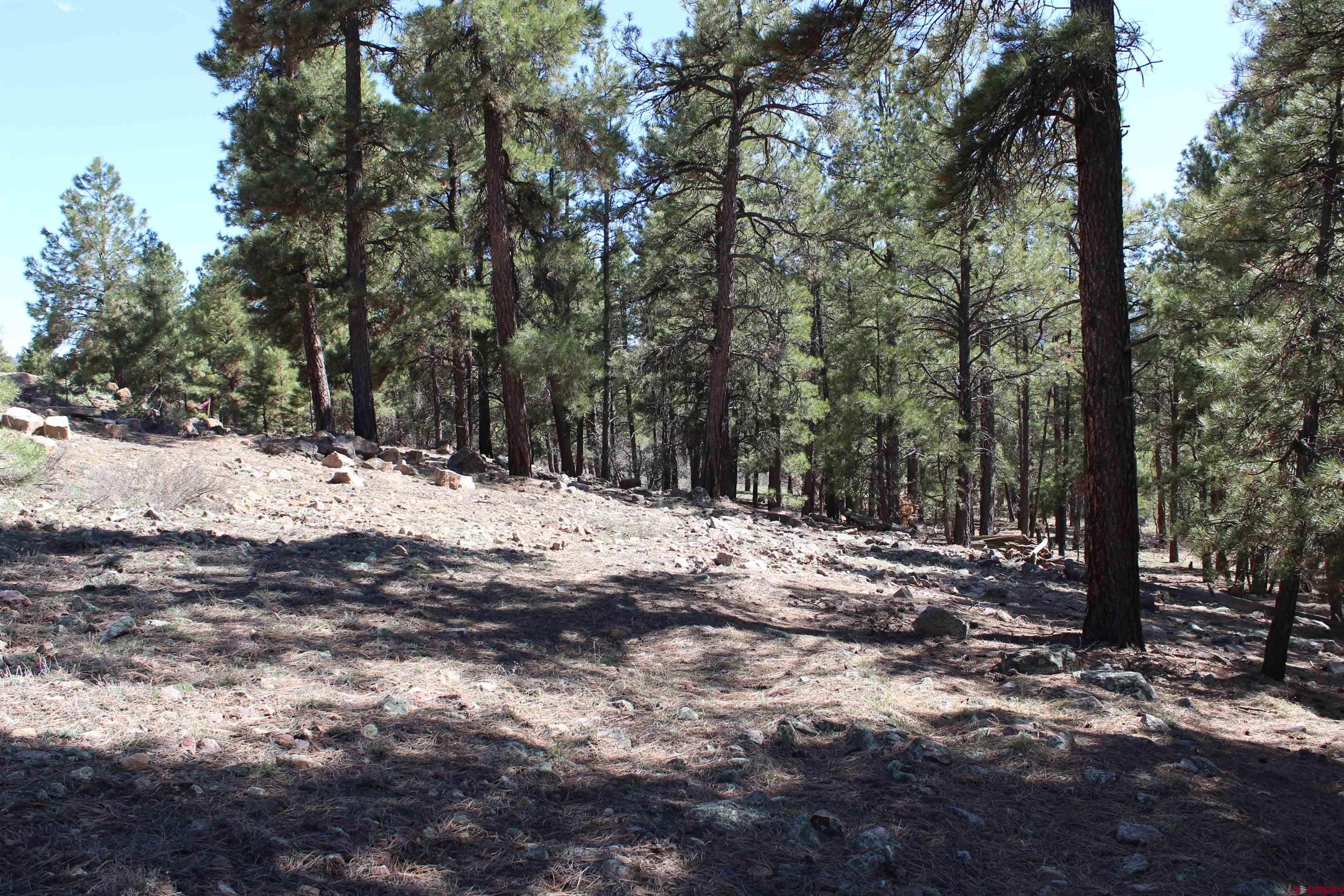 Photo of 160 Woodridge Cir in Pagosa Springs, CO