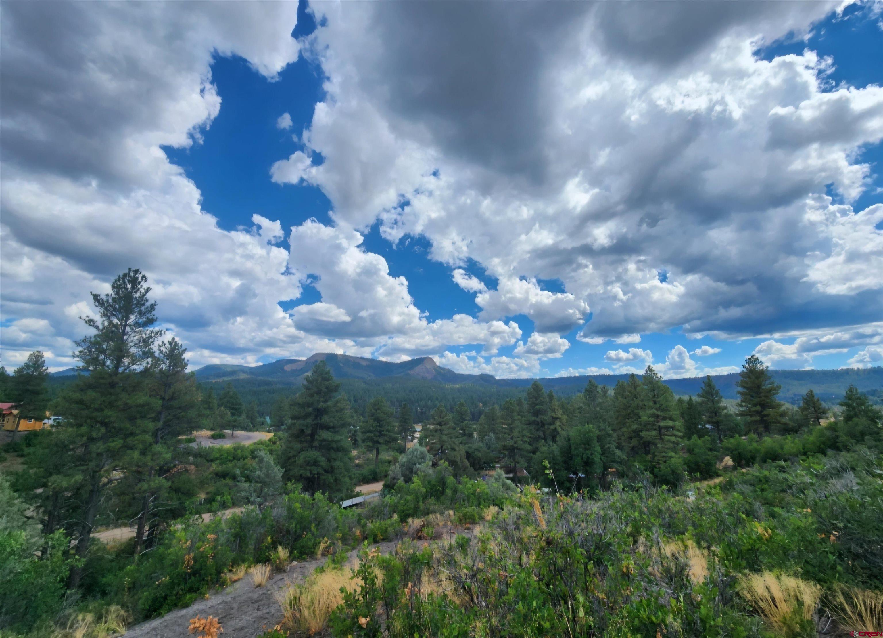 Photo of 368 Squirrel Dr in Pagosa Springs, CO