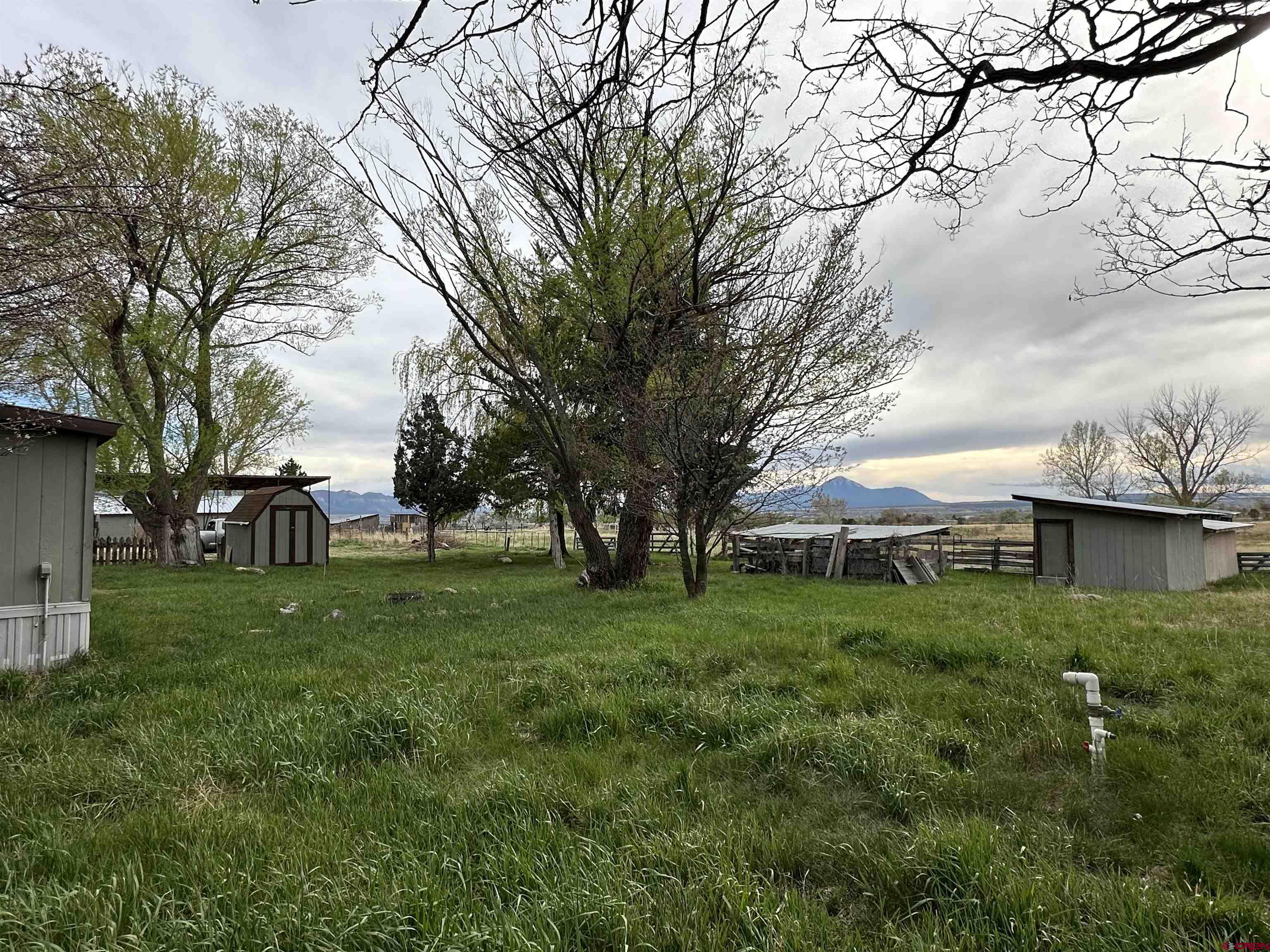 13505 Road 29, Dolores, CO 81323 Listing Photo  2