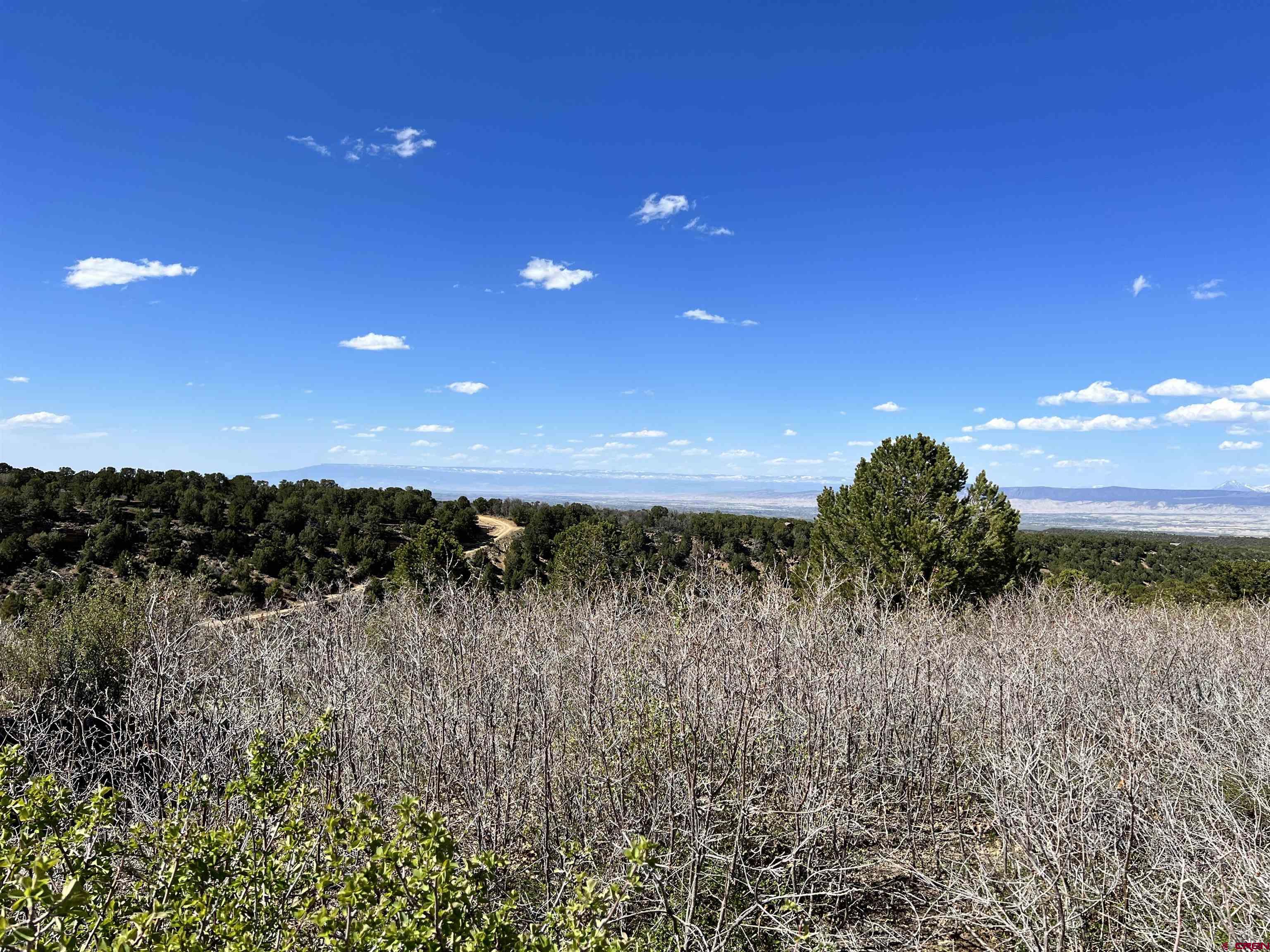 Tract 56 Wildcat Canyon Road, Montrose, CO 81403 Listing Photo  2