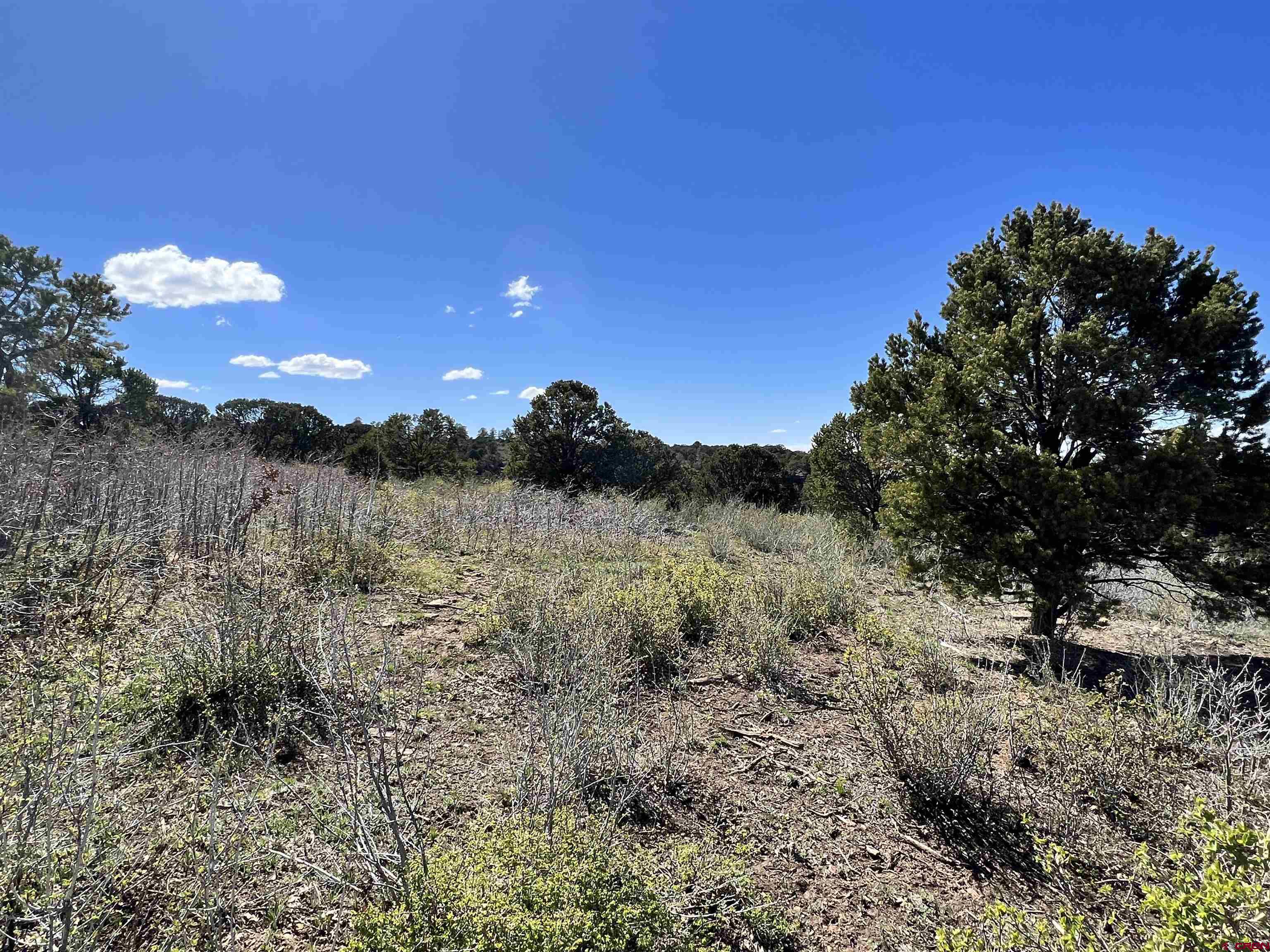 Tract 56 Wildcat Canyon Road, Montrose, CO 81403 Listing Photo  28