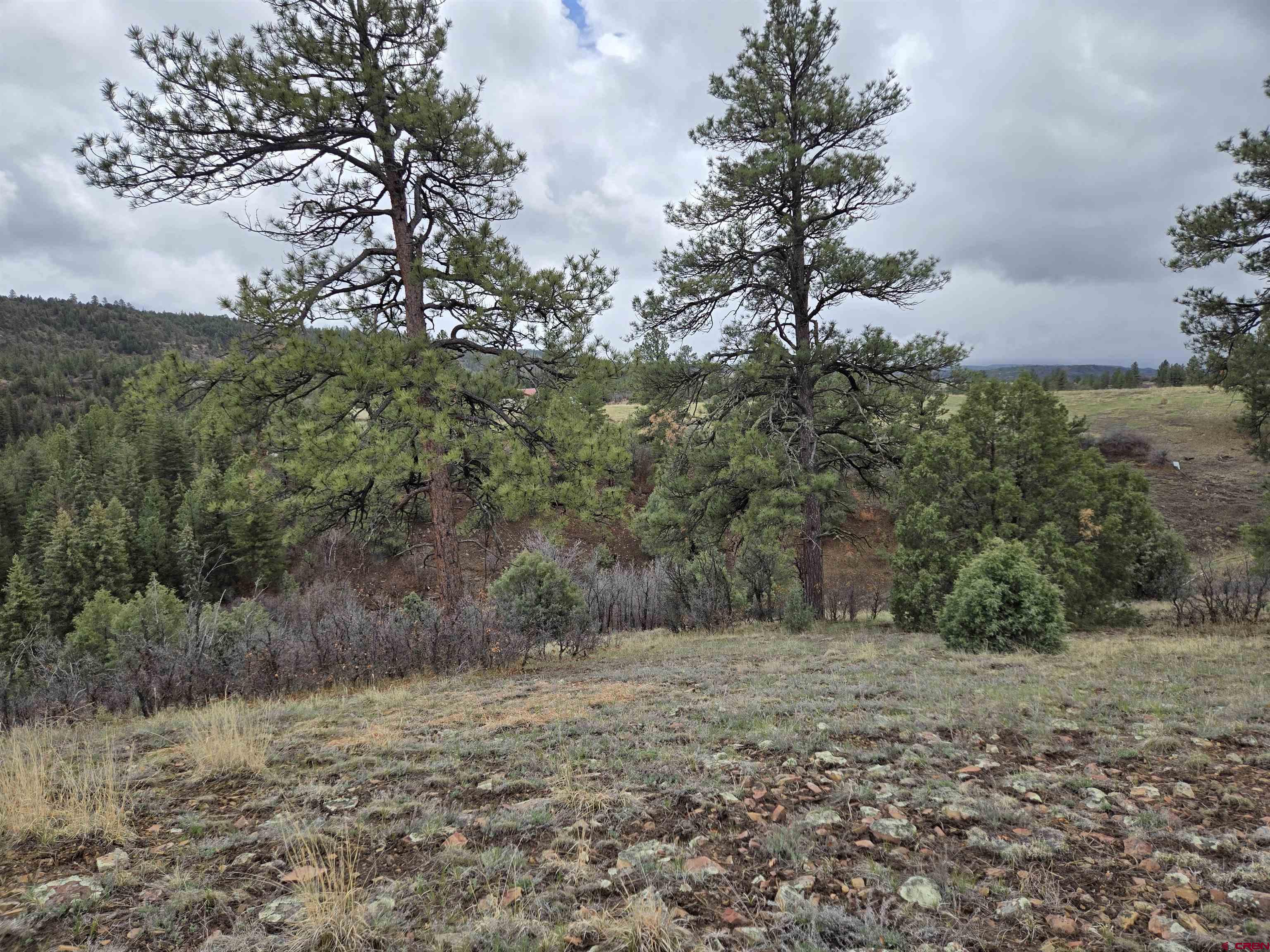 4410 County 359 Road, Pagosa Springs, CO 81147 Listing Photo  2