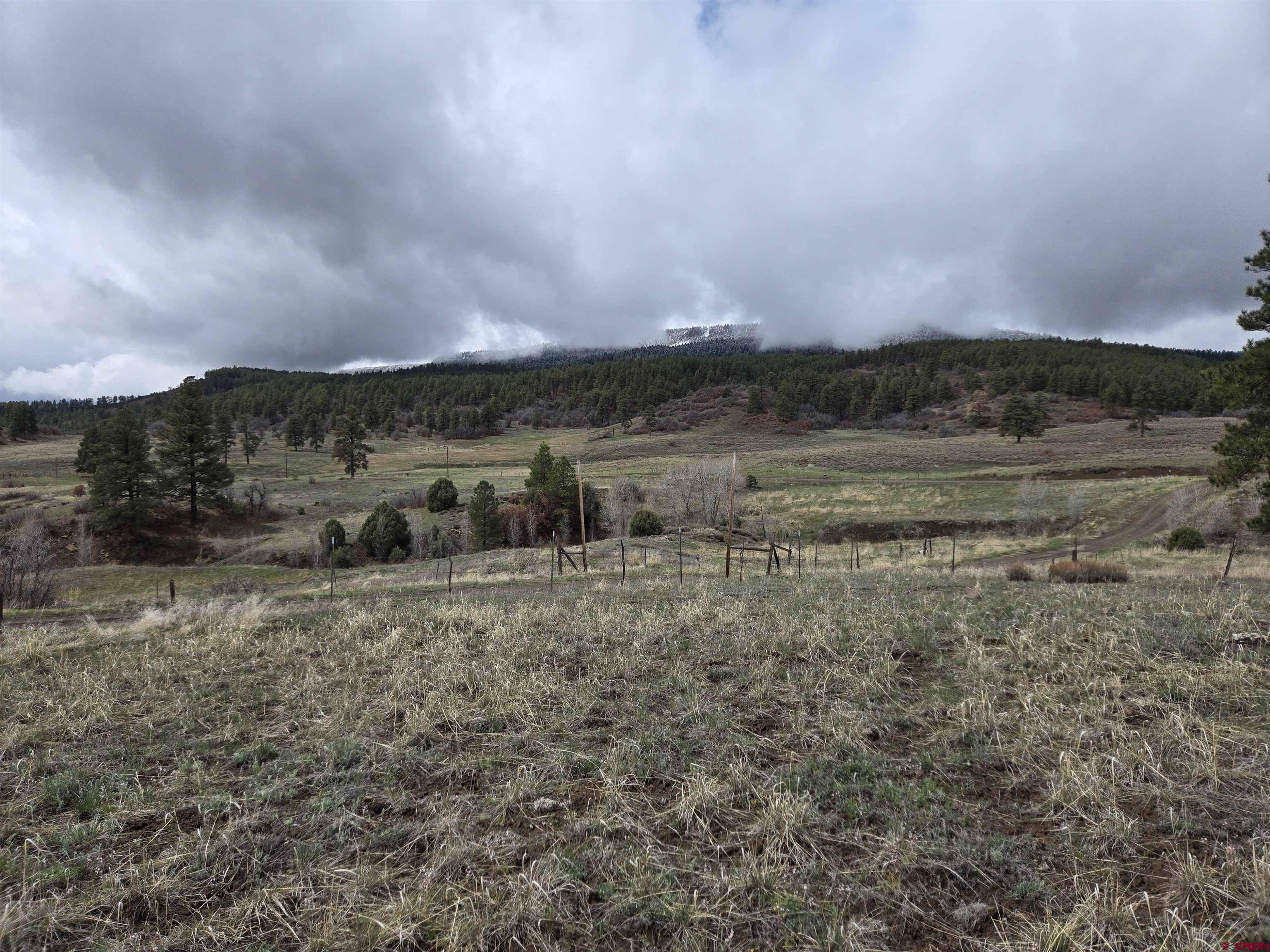 4410 County 359 Road, Pagosa Springs, CO 81147 Listing Photo  5