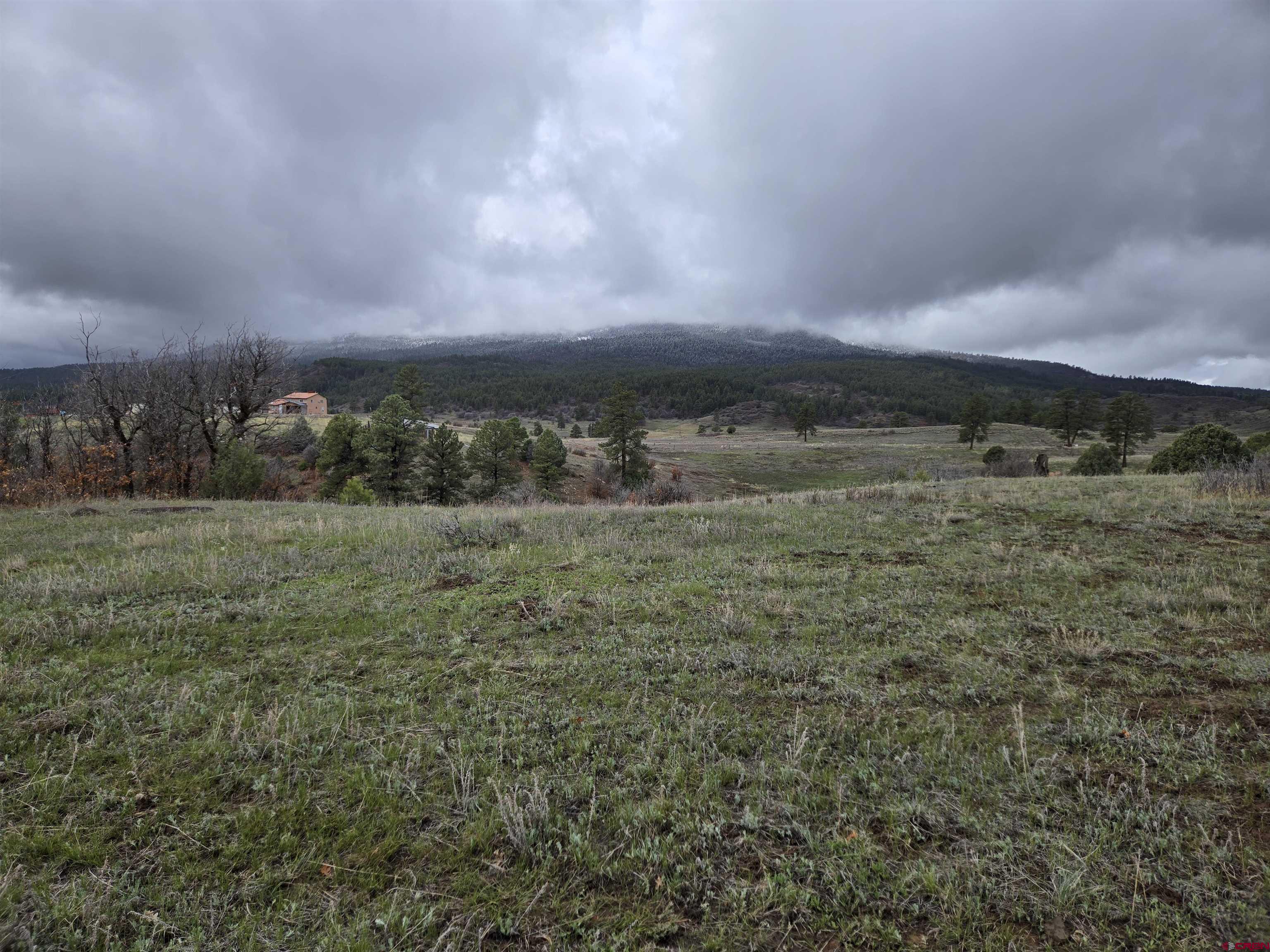 4410 County 359 Road, Pagosa Springs, CO 81147 Listing Photo  7